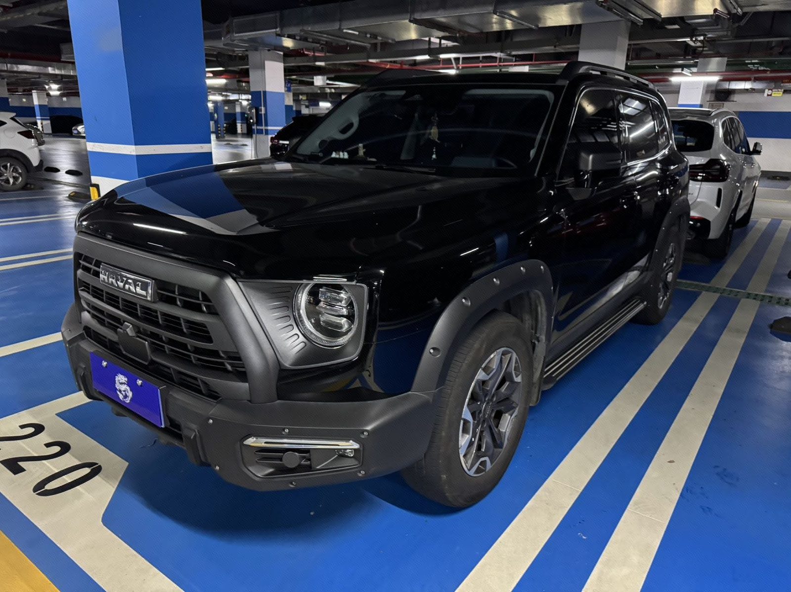 Haval Dargo 2024 Big Dog 2.0T Chinese Village Dog Edition