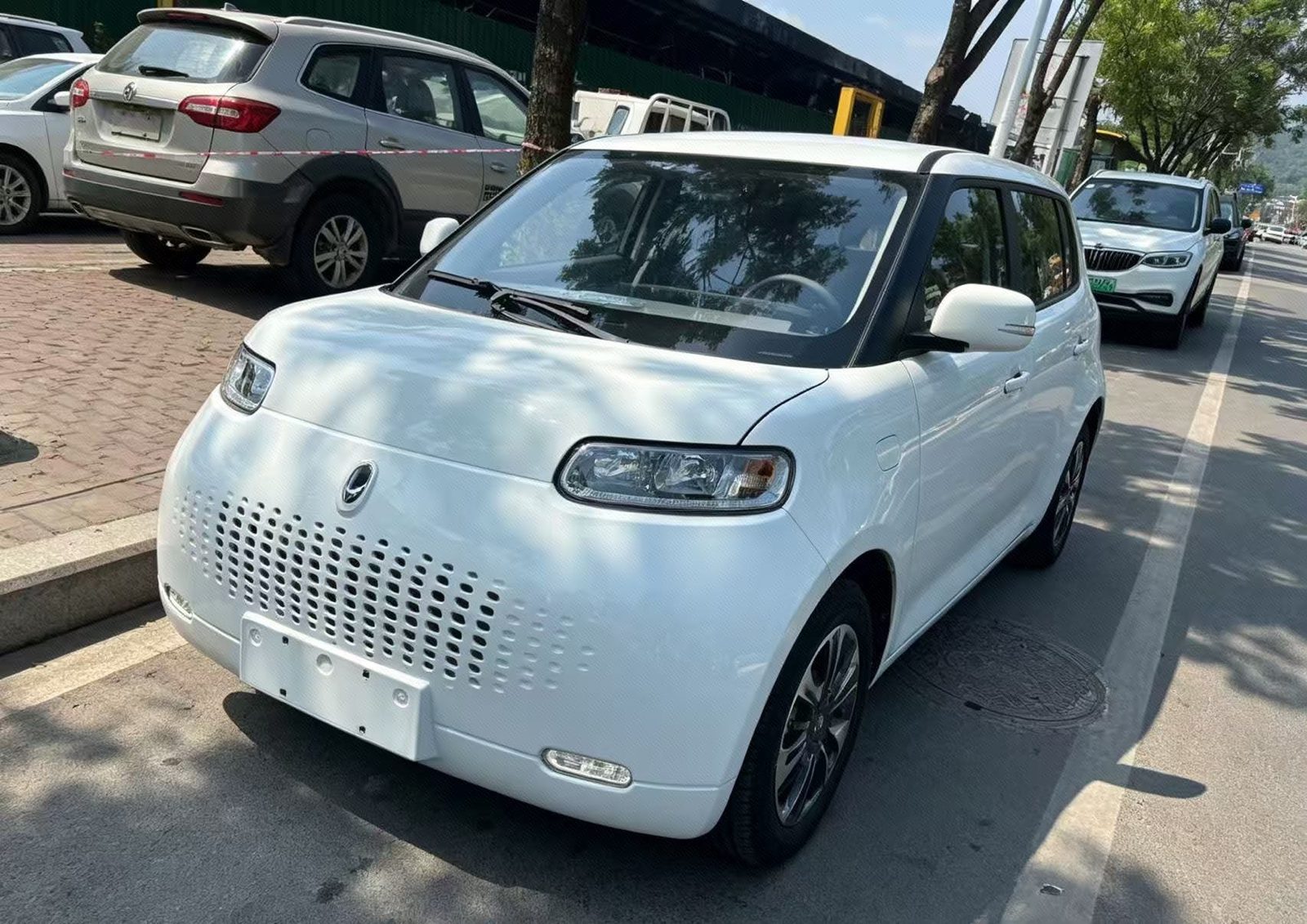 ORA 2020 R2 (White Cat) 305 km Luxury Model