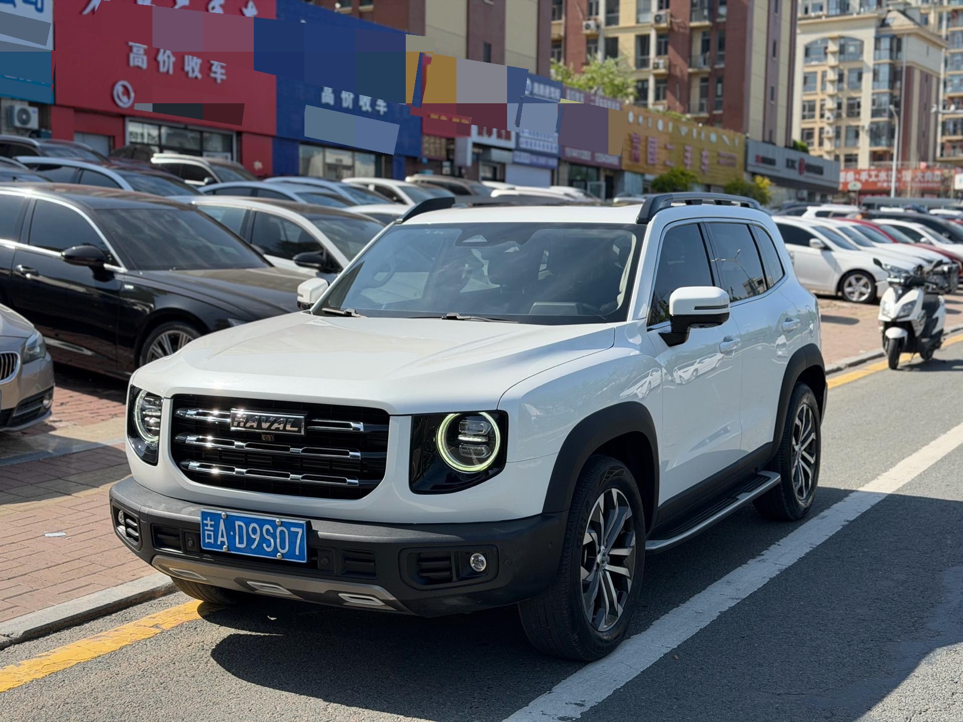 Haval Dargo 2021 Big Dog 1.5T Border Collie “Wang Cai” Edition