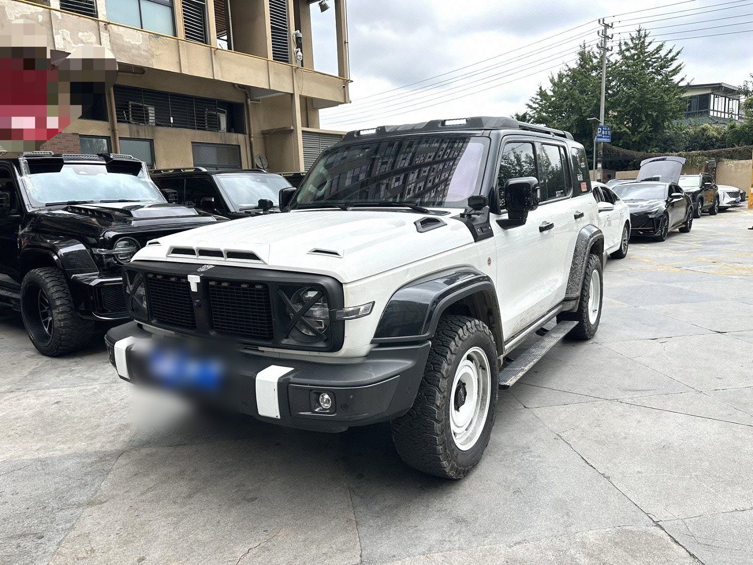 TANK 2023 Tank 300 2.0T Urban Edition: So Stylish