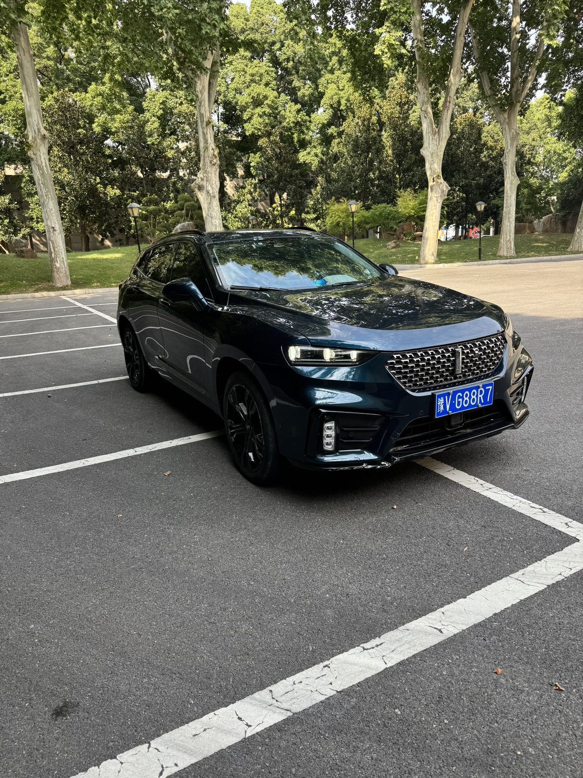 صورة WEY VV7 2.0T Flagship Model رقم 3