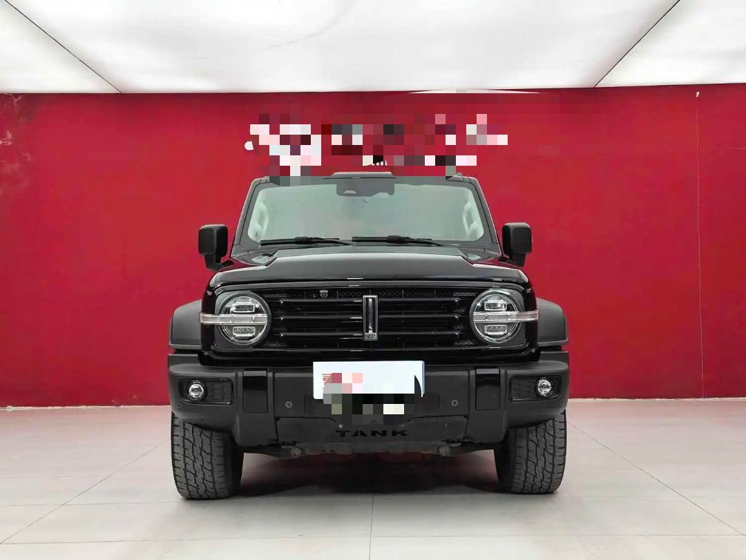 TANK 2021 Tank 300 2.0T Off-Road Edition Conqueror photo 2