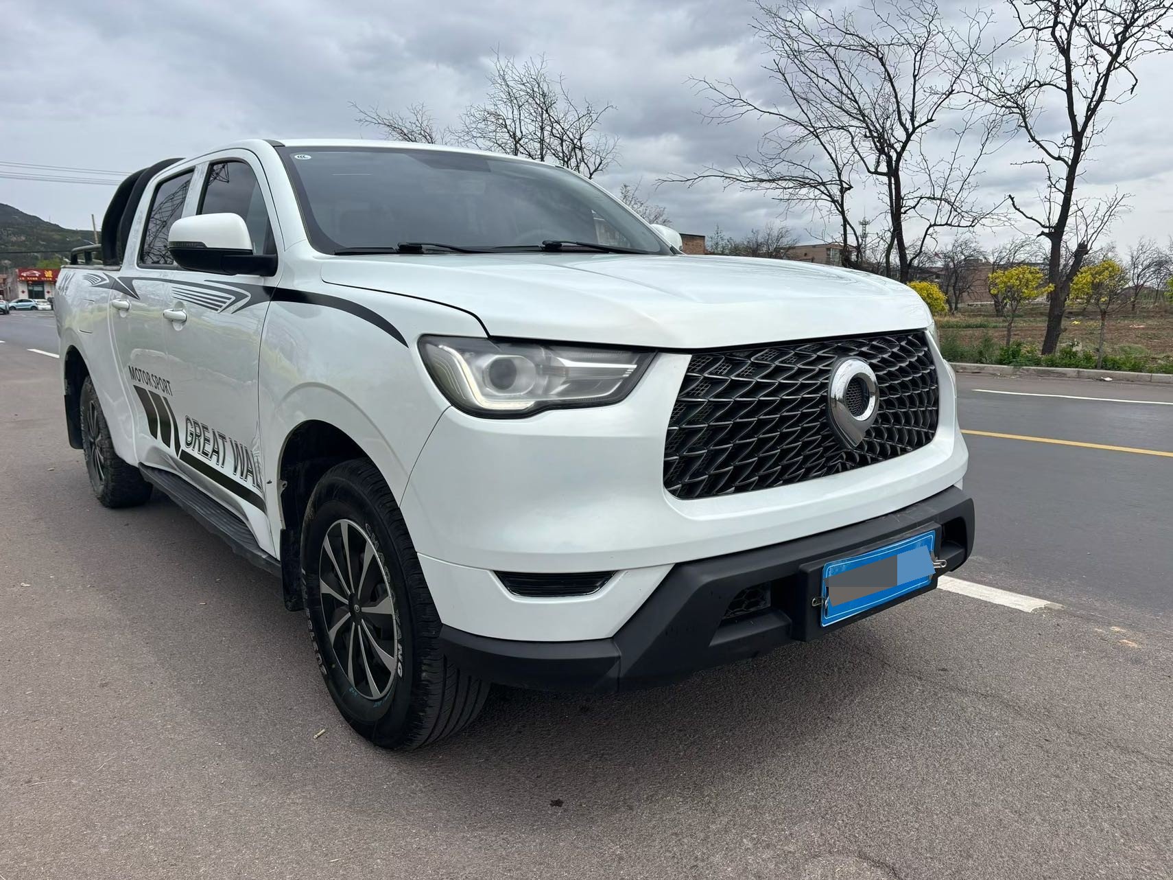Great Wall POER 2021 Cannon 2.0T Commercial Diesel 2WD Elite Long-Box Version photo 5