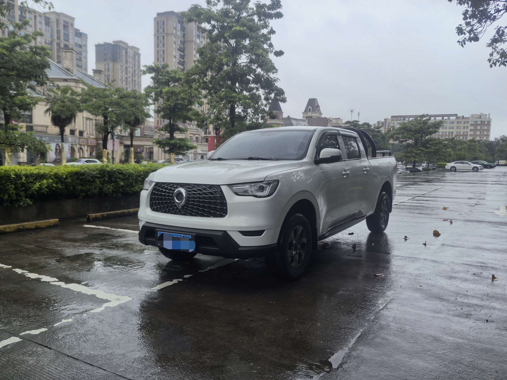 Great Wall POER 2021 Cannon 2.0T Commercial Gasoline 2WD Elite Long-Box Version
