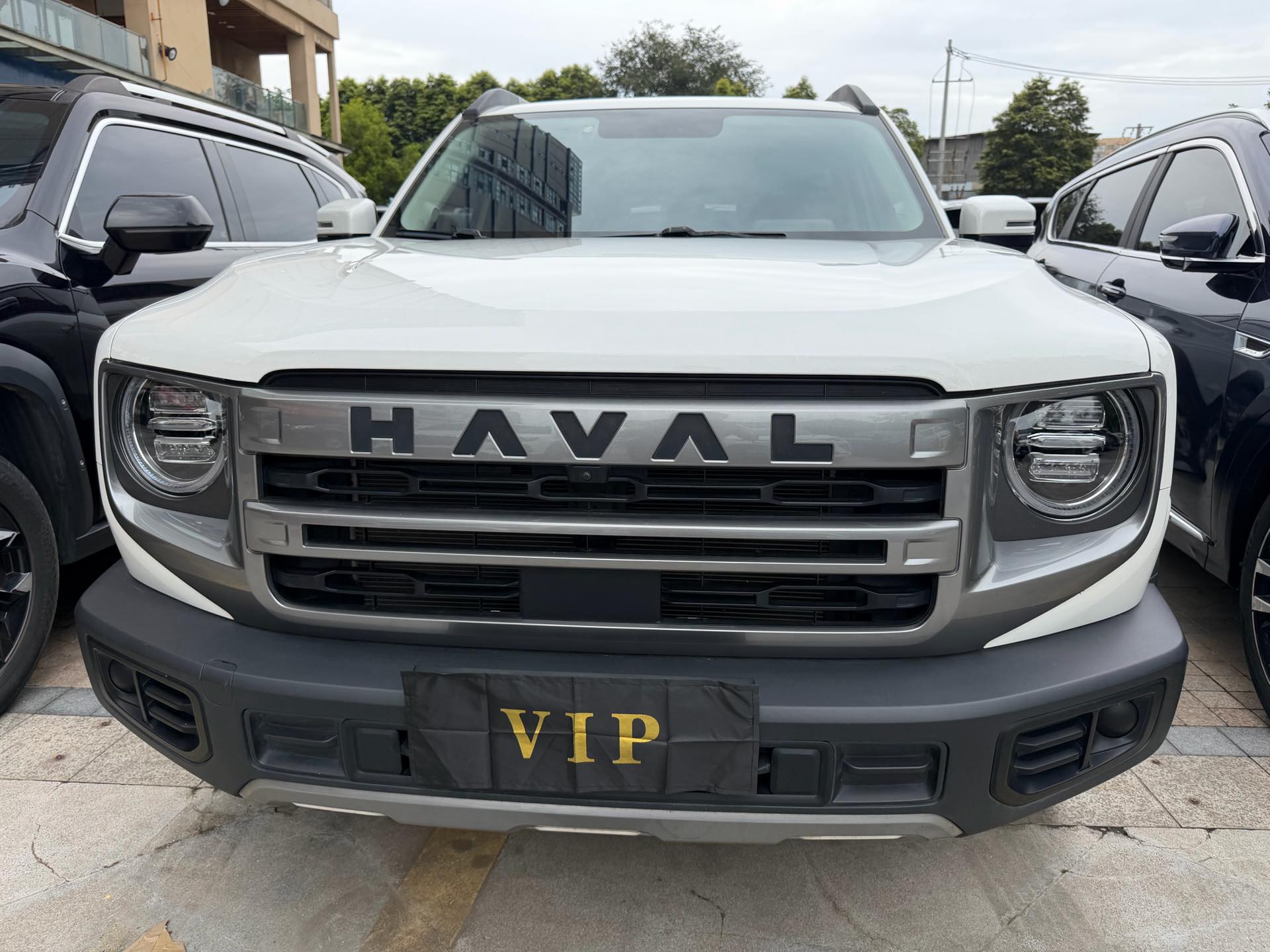 Haval Dargo 2024 Big Dog 1.5T Labrador Edition photo 2