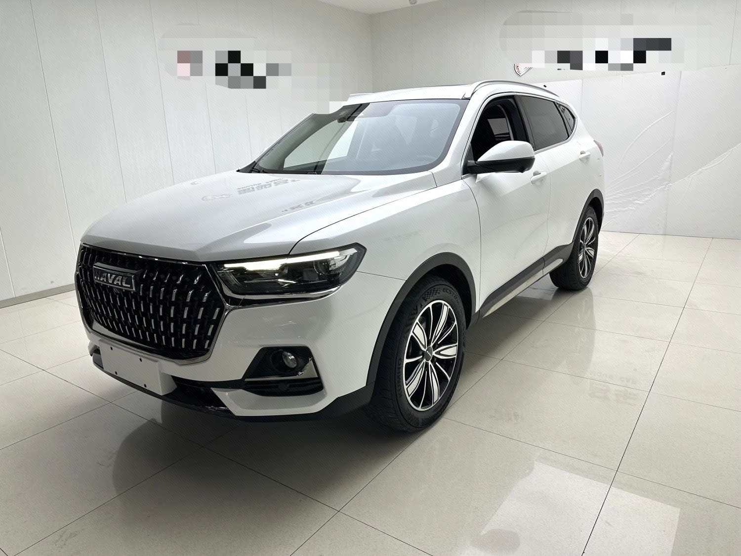 Haval 2023 H6 1.5T National Trend Edition Champion Version