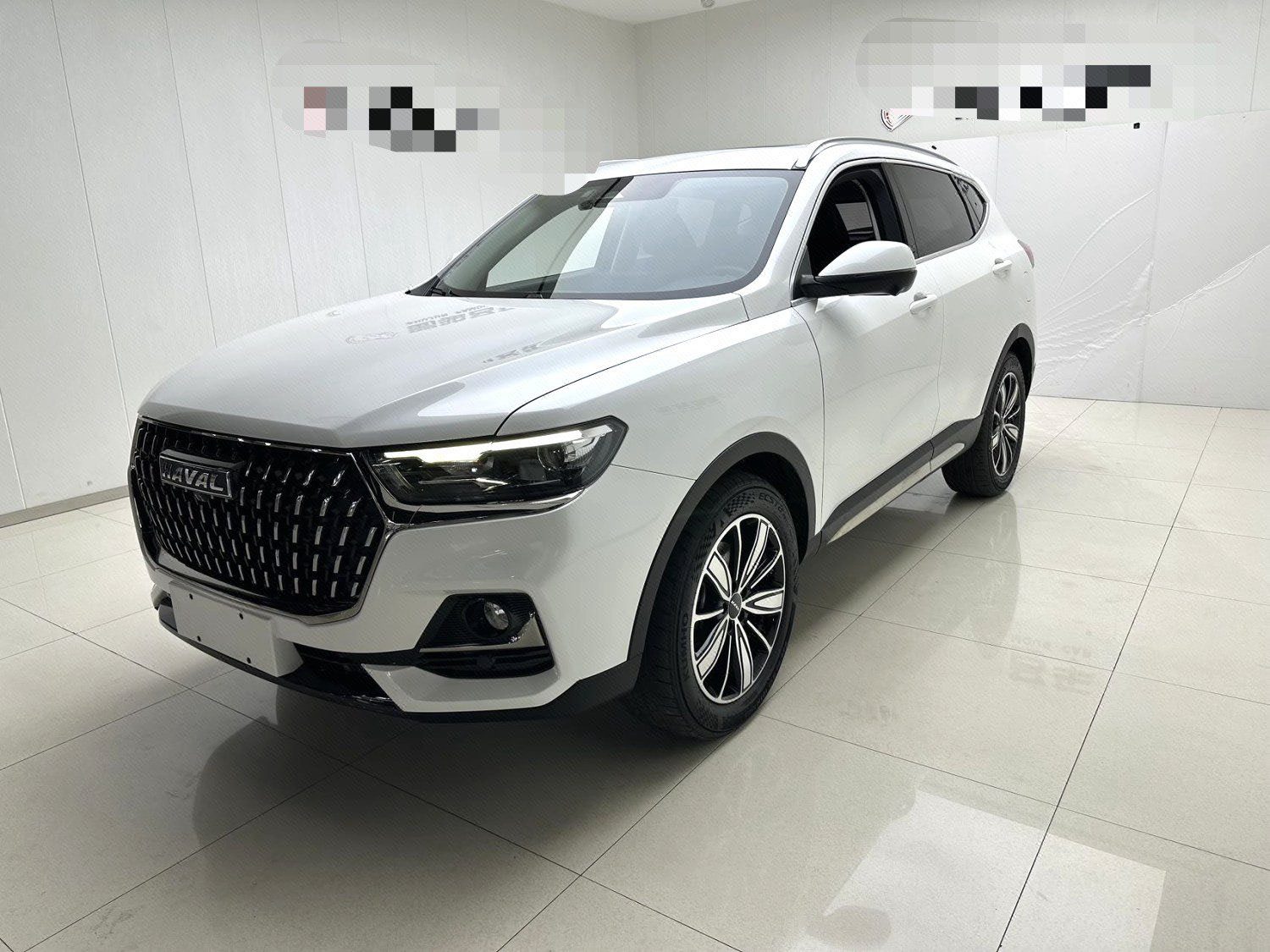 Haval 2023 H6 1.5T National Trend Edition Champion Version