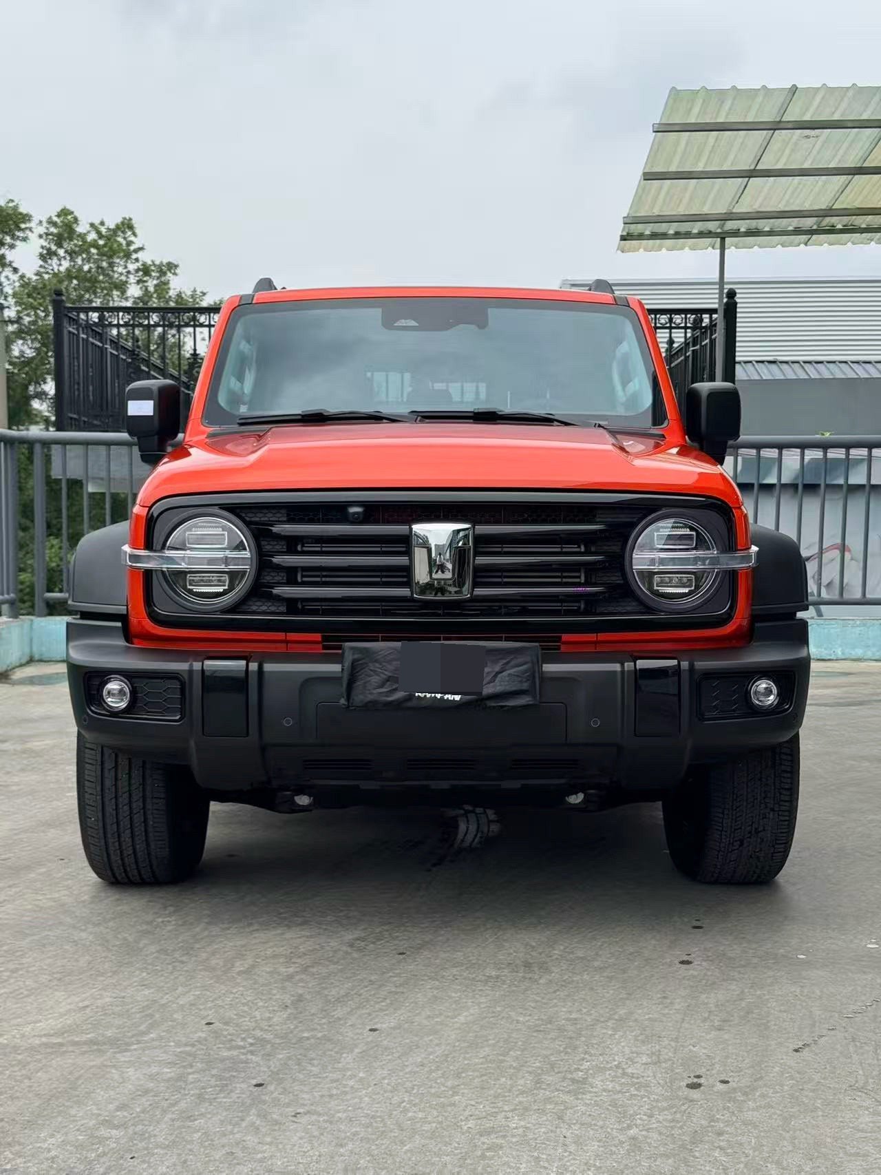 TANK TANK 300 2.4T Diesel Edition photo 3