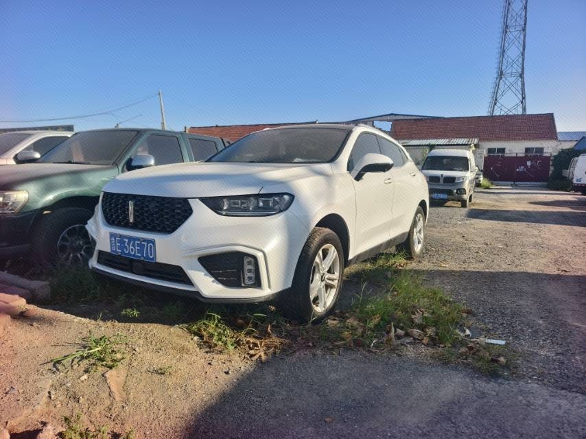WEY 2020 VV5 1.5T 2WD Trend Pioneer