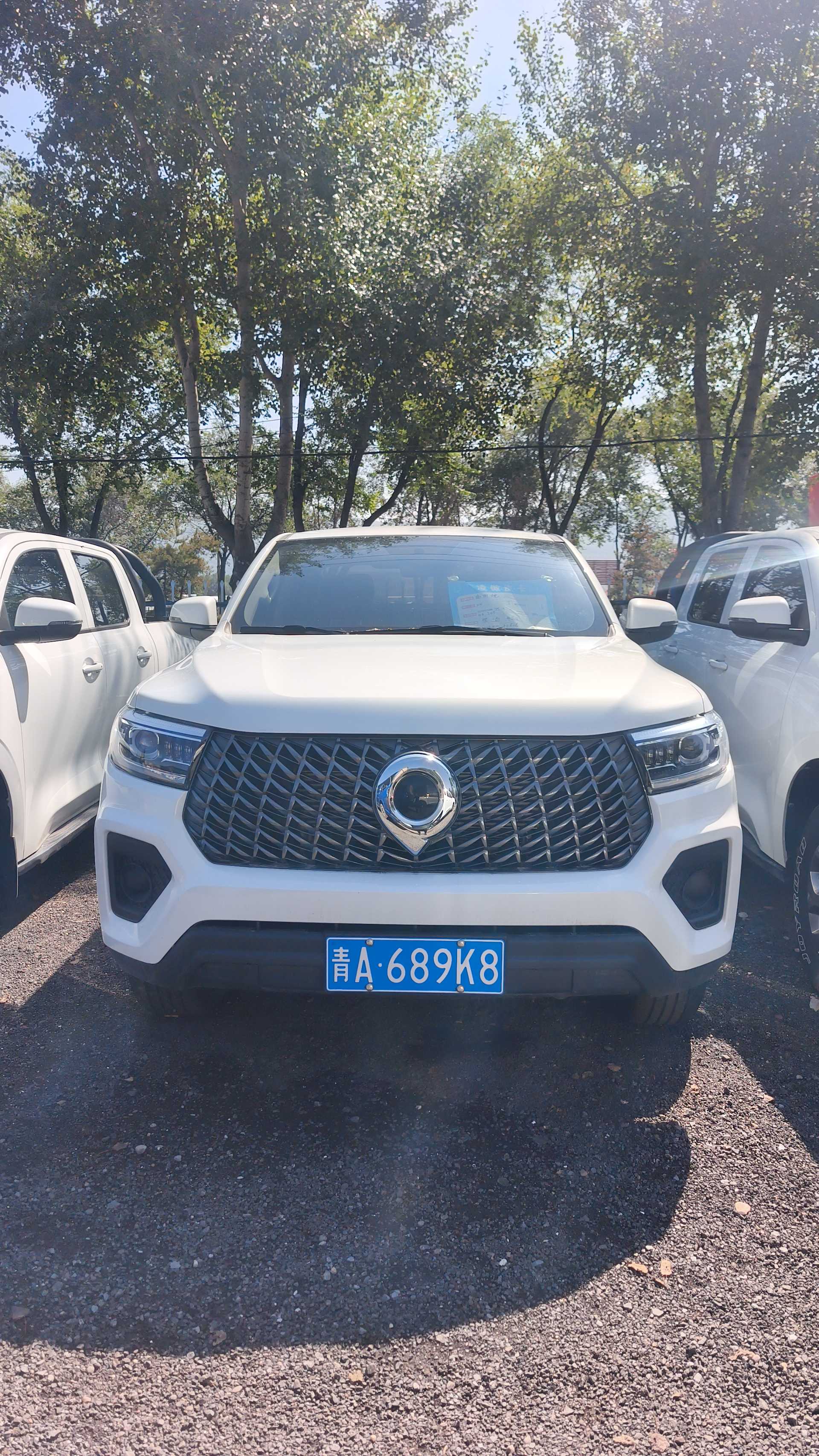 Great Wall POER 2023 Cannon 2.0T Commercial Diesel 4WD Elite Long Bed photo 3