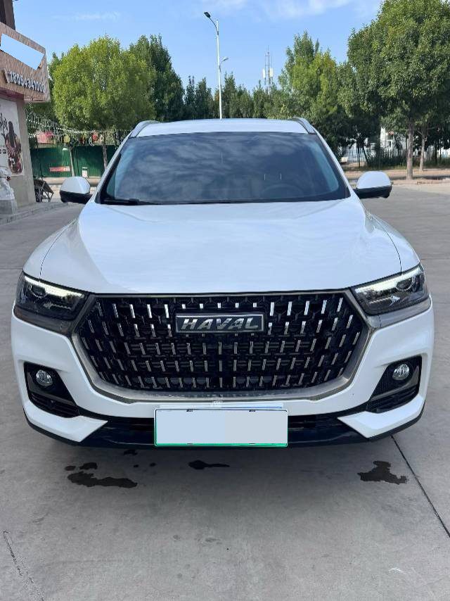 Photo du Haval H6 1.5T National Trend Edition Urban Edition 3