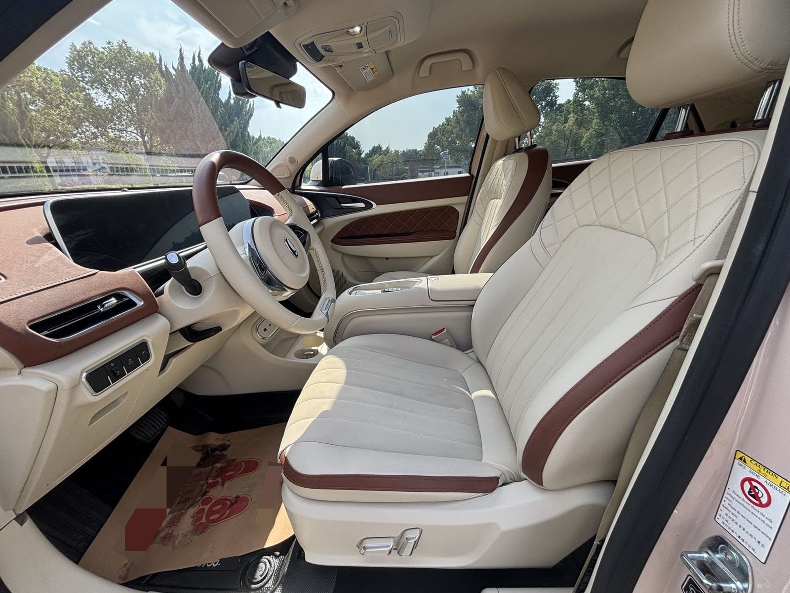 ORA Good Cat 401 km Standard Range Luxury Model – Lithium Iron Phosphate photo 3