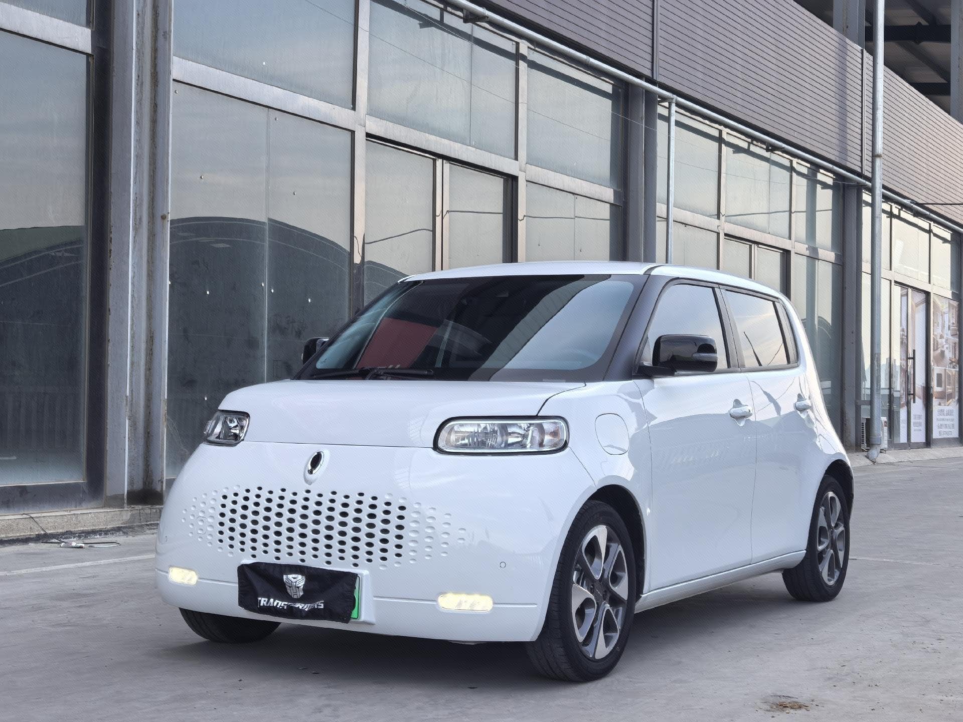 ORA 2020 R2 (White Cat) 401 km Flagship Model