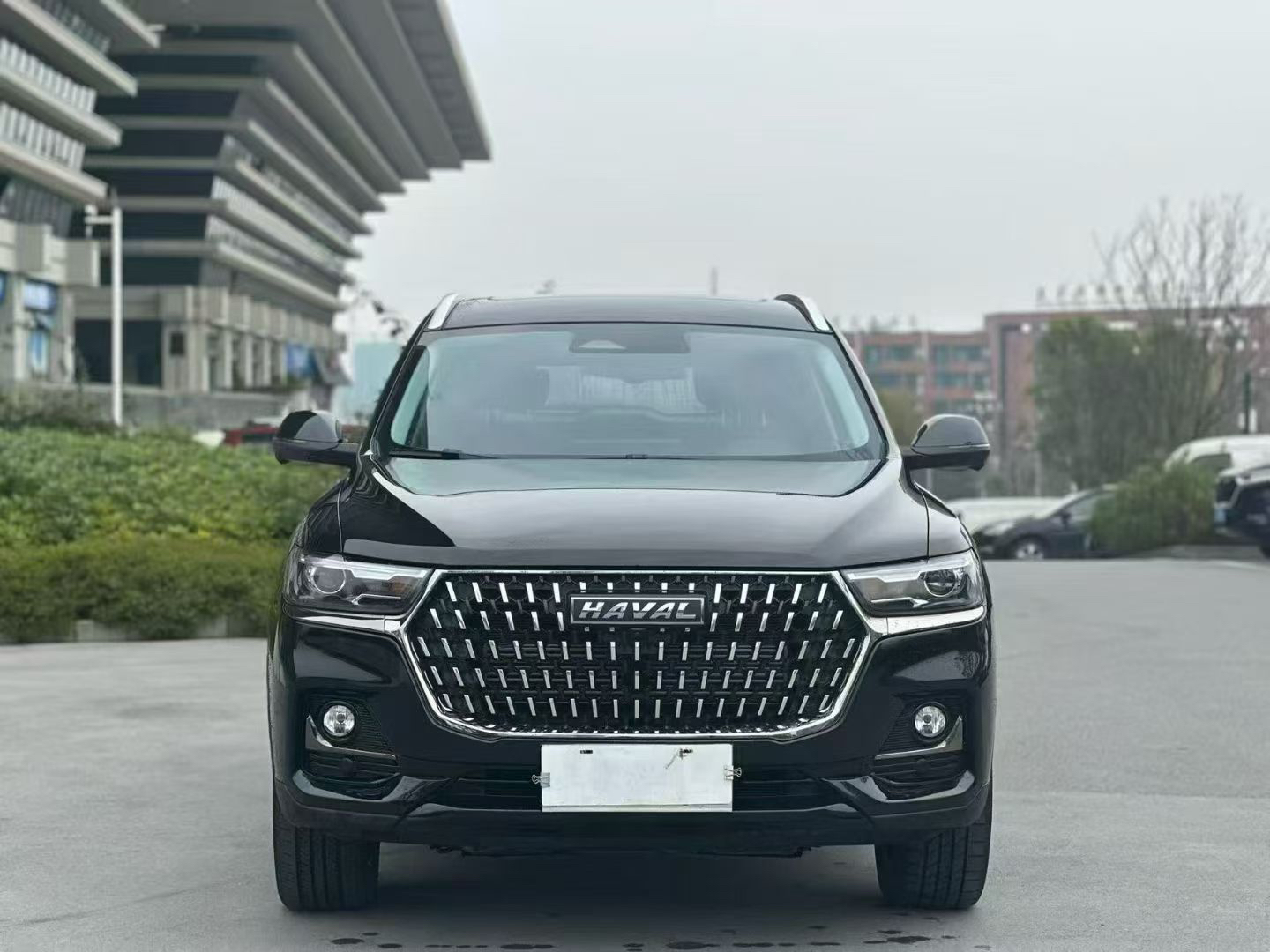 Haval H6 1.5T National Trend Edition Champion Version photo 2