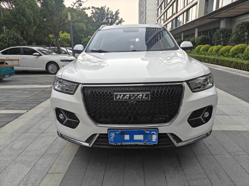 صورة Haval H6 1.5T National Trend Edition Champion Edition رقم 2