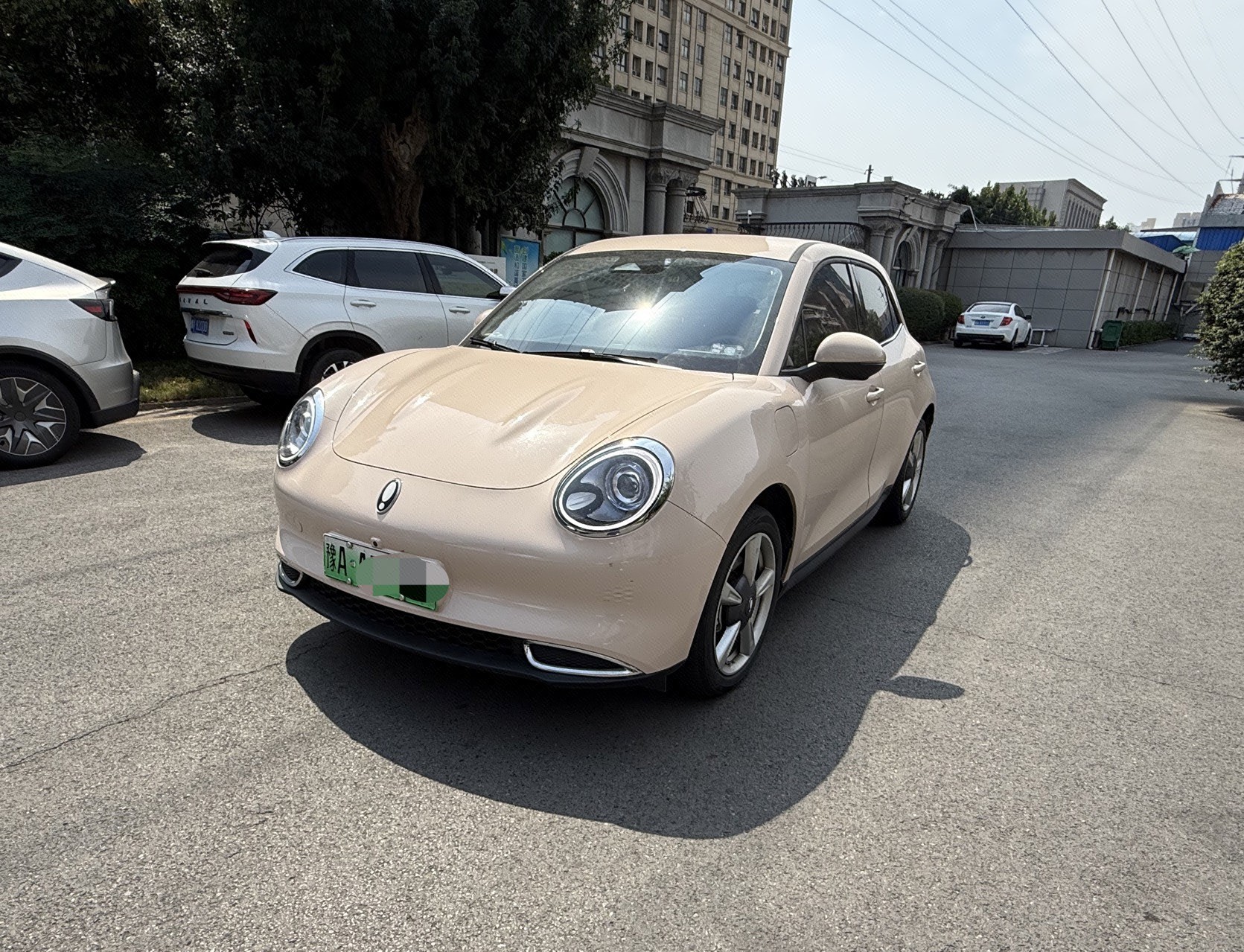 ORA 2022 Good Cat Morandi Edition 400km Standard Range Luxury Model, Ternary Lithium