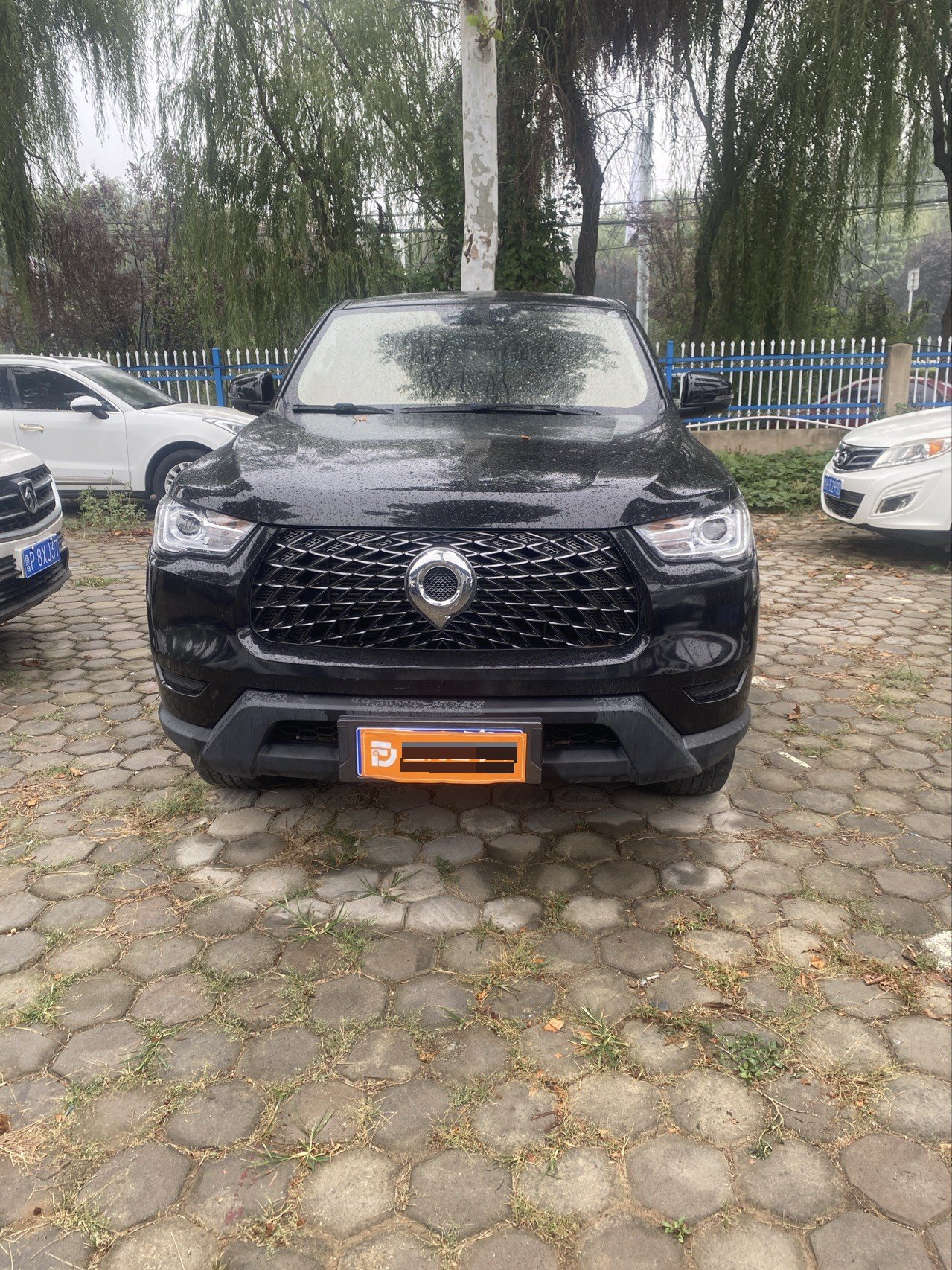 Foto Great Wall POER 2019 Cannon 2.0T 2WD Navigator Extended Cab 3
