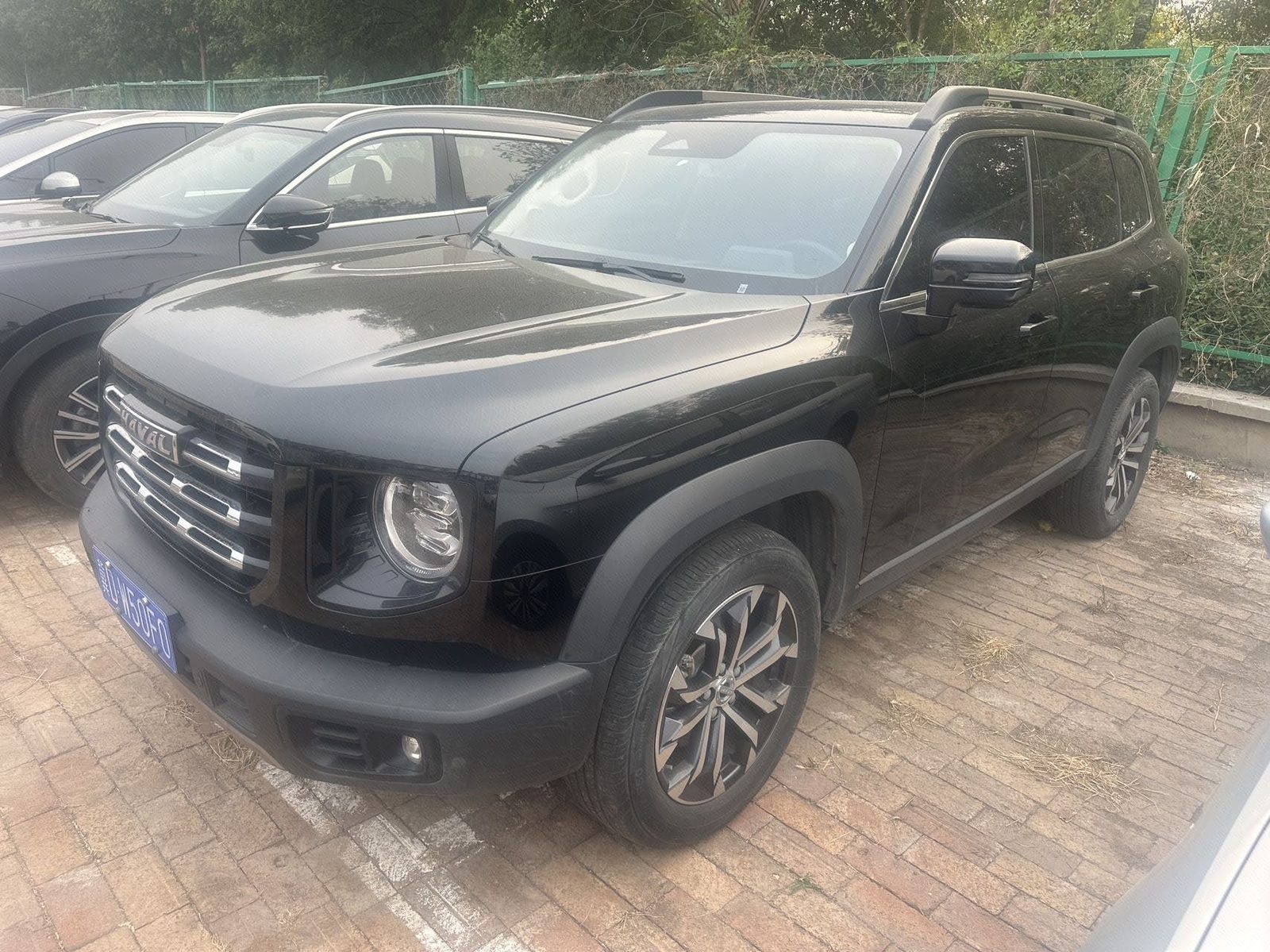 Haval Dargo Tank 300 1.5T 2WD Border Collie Edition