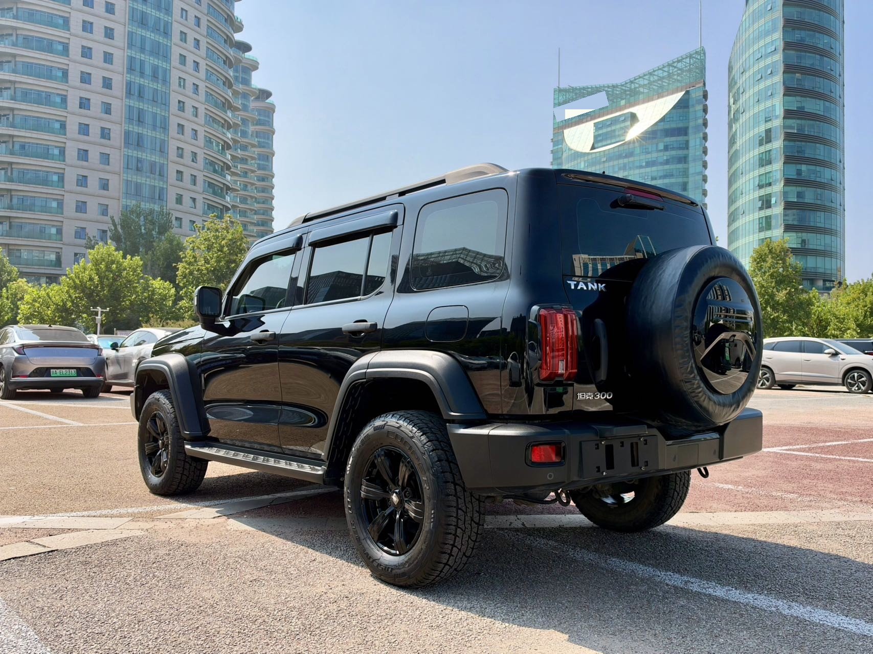 TANK 2021 Tank 300 2.0T Off-Road Edition Conqueror photo 5