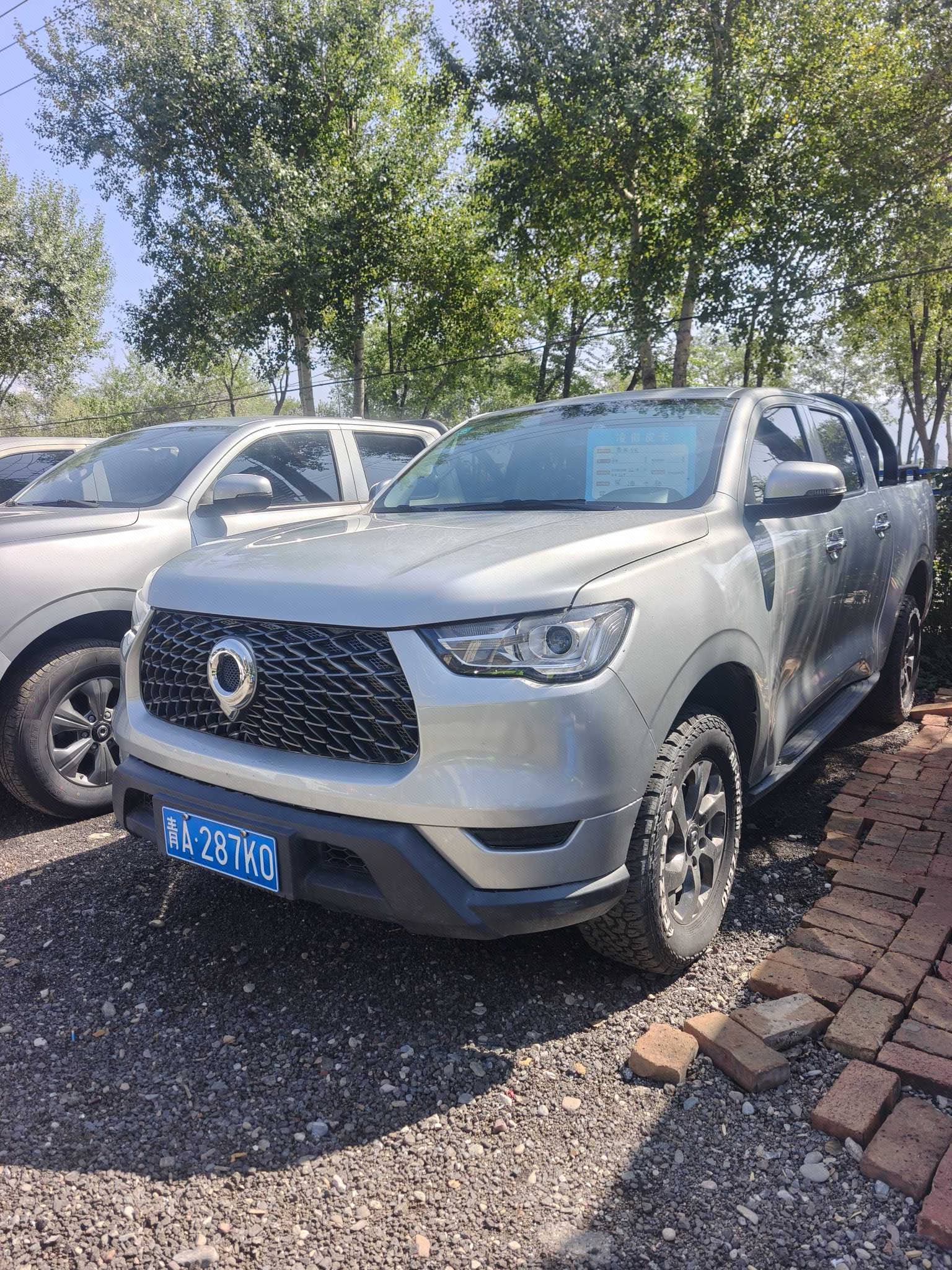 Great Wall POER 2022 Cannon 2.0T Commercial Diesel 4x4 Tea King Long-Box