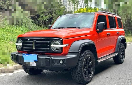 TANK 2021 Tank 300 2.0T Off-Road Edition Conqueror