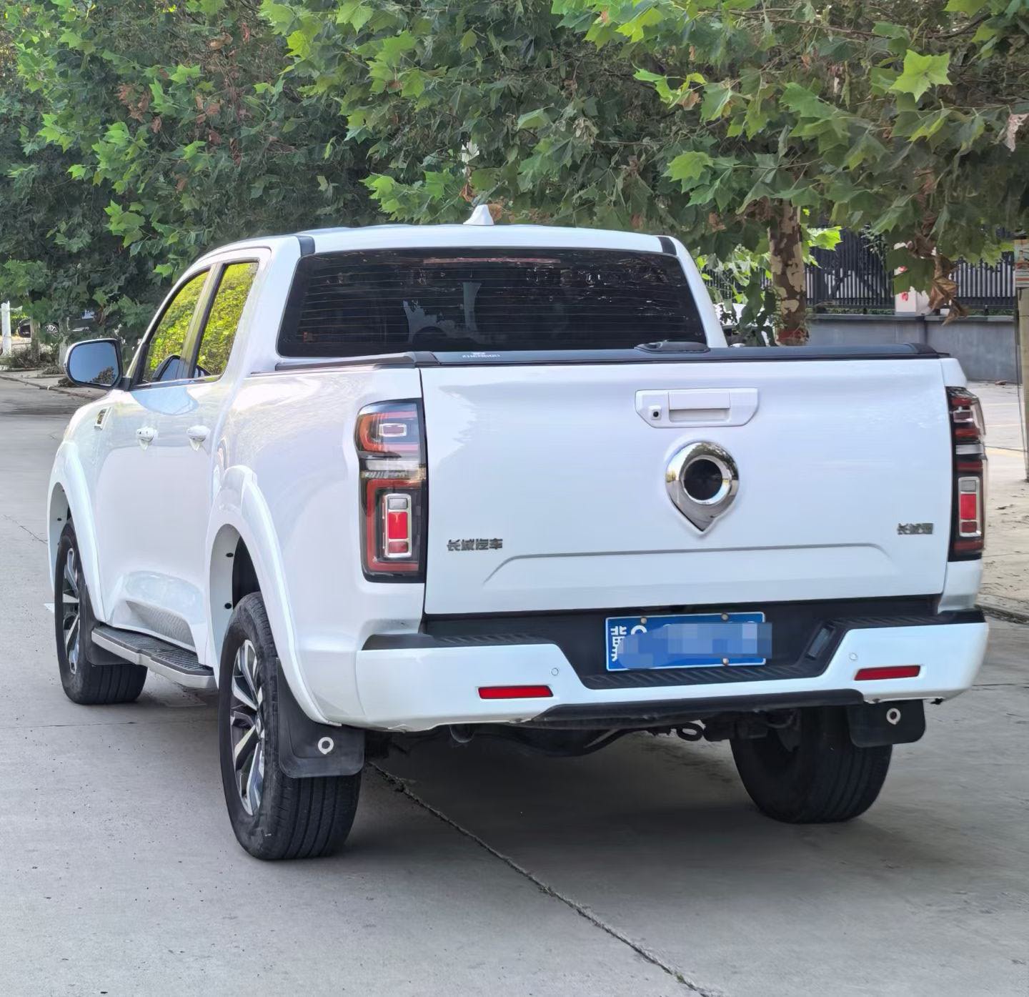 Great Wall POER 2022 Cannon 2.0T Global Passenger Version Diesel Four-Wheel Drive Comfort Model with Standard Bed and Tow Package photo 4