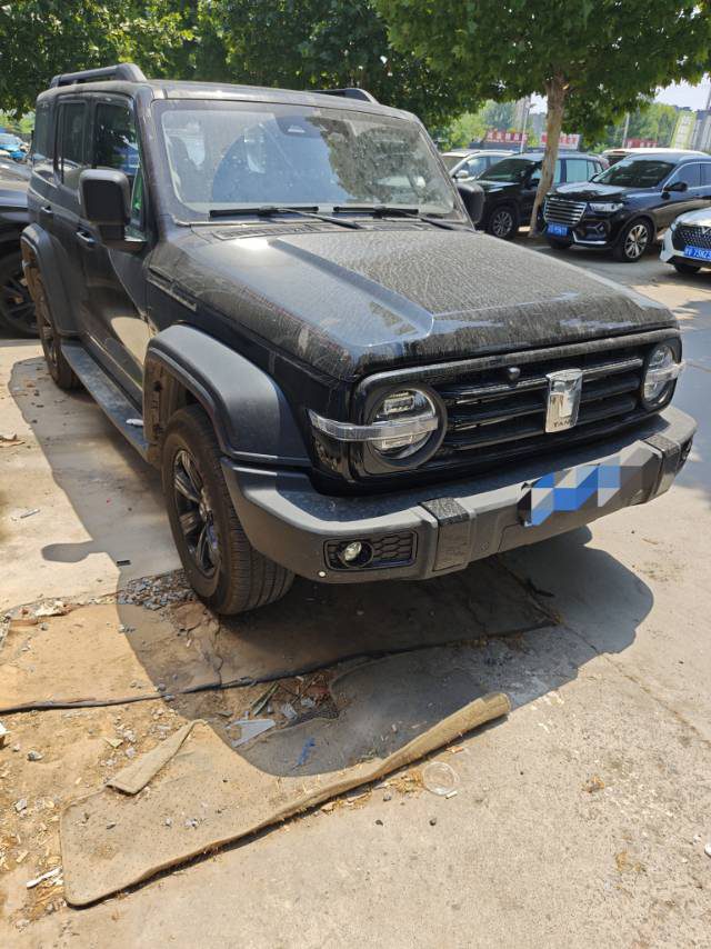 Фото TANK Tank 300 2.0T Challenger — 3