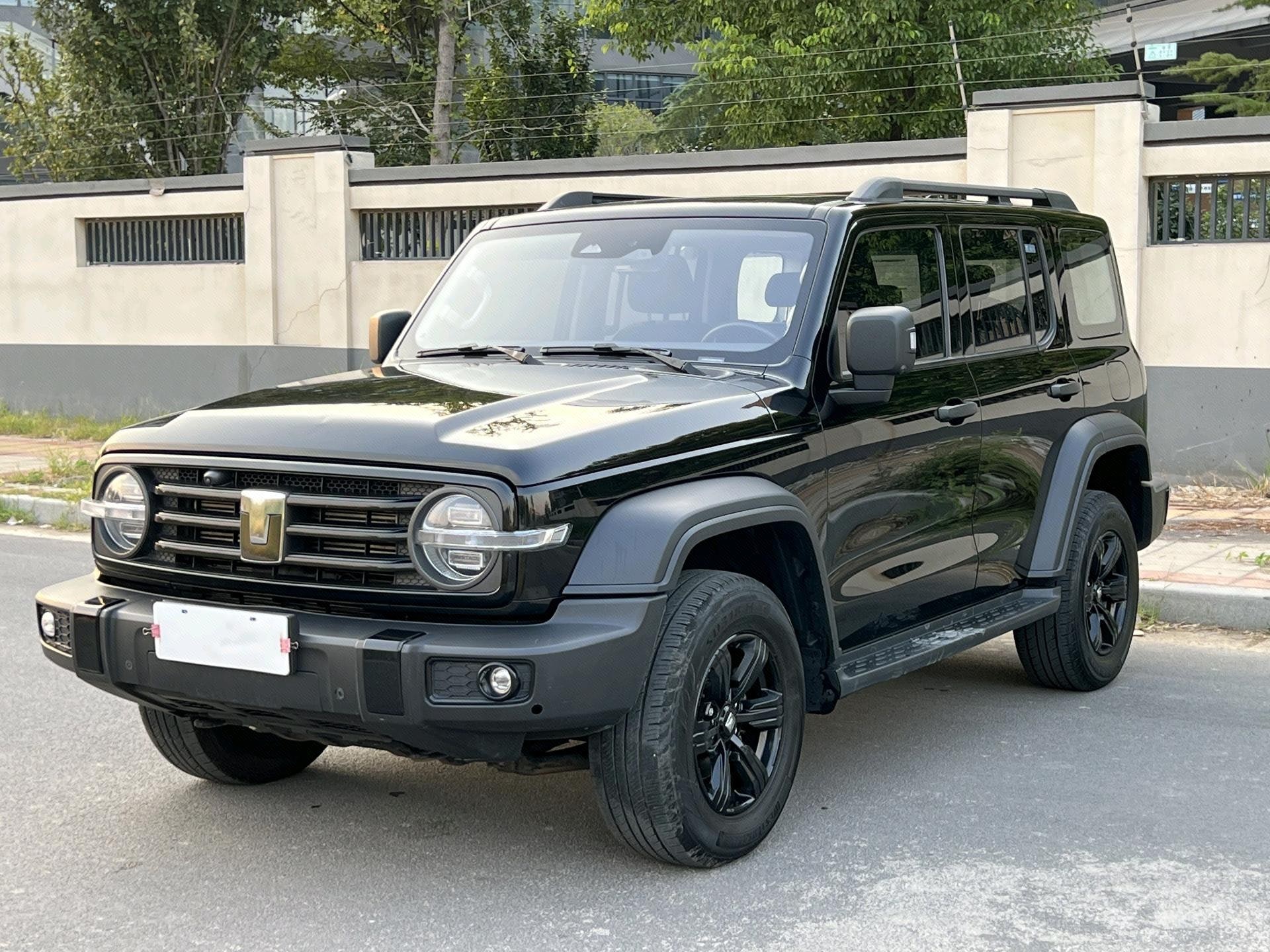 TANK 2024 Tank 300 2.0T Challenger