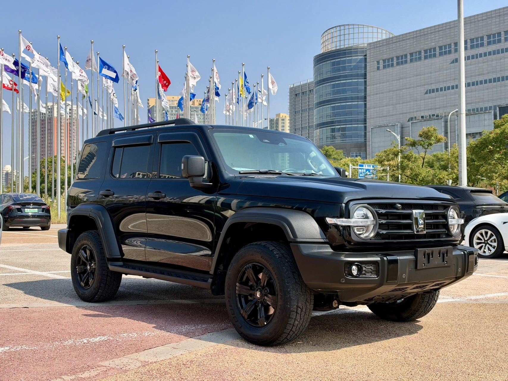 TANK 2021 Tank 300 2.0T Off-Road Edition Conqueror photo 3