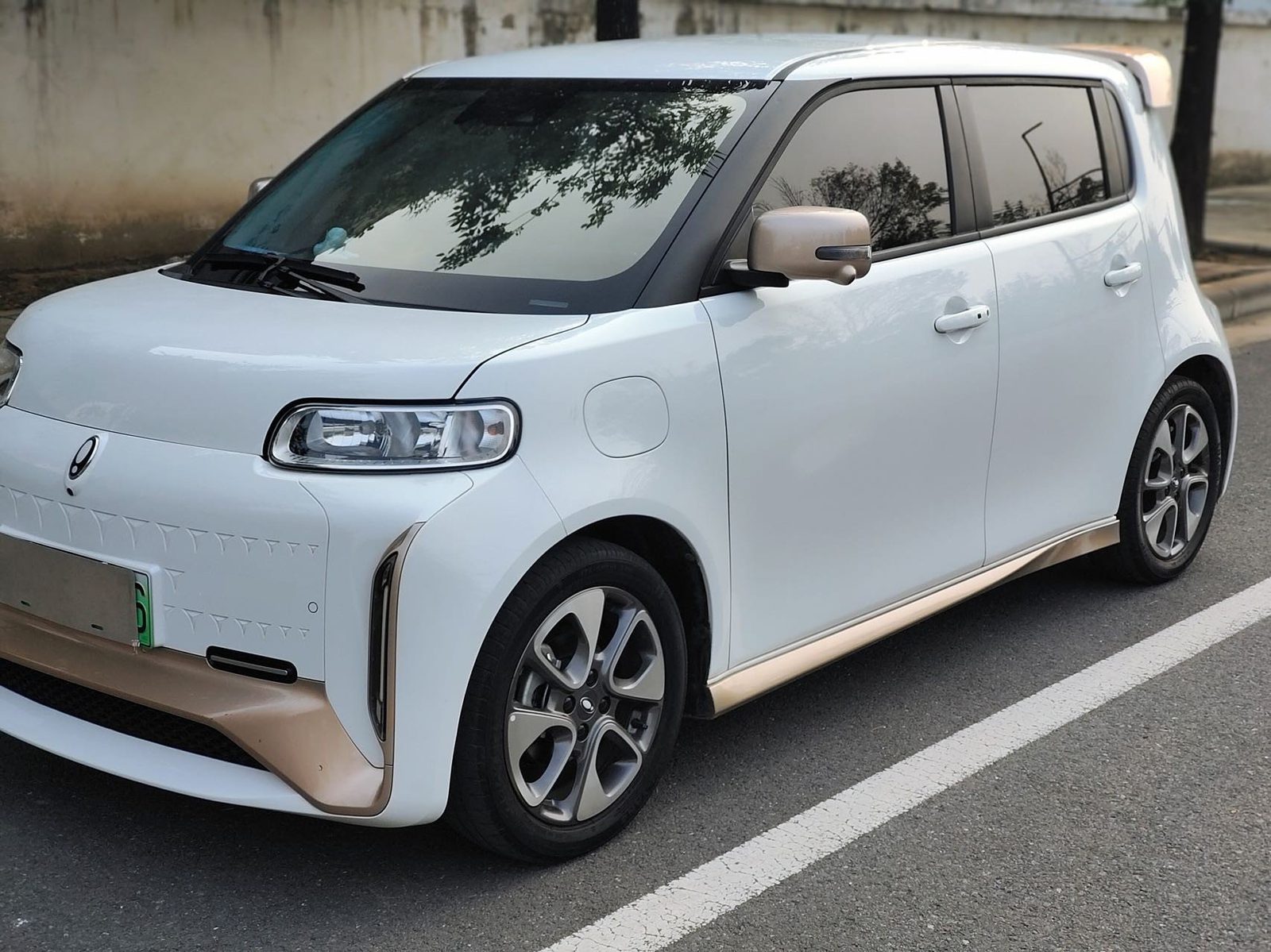 Фото ORA R2 (White Cat) Little Wildcat Edition 401km Flagship Model — 3
