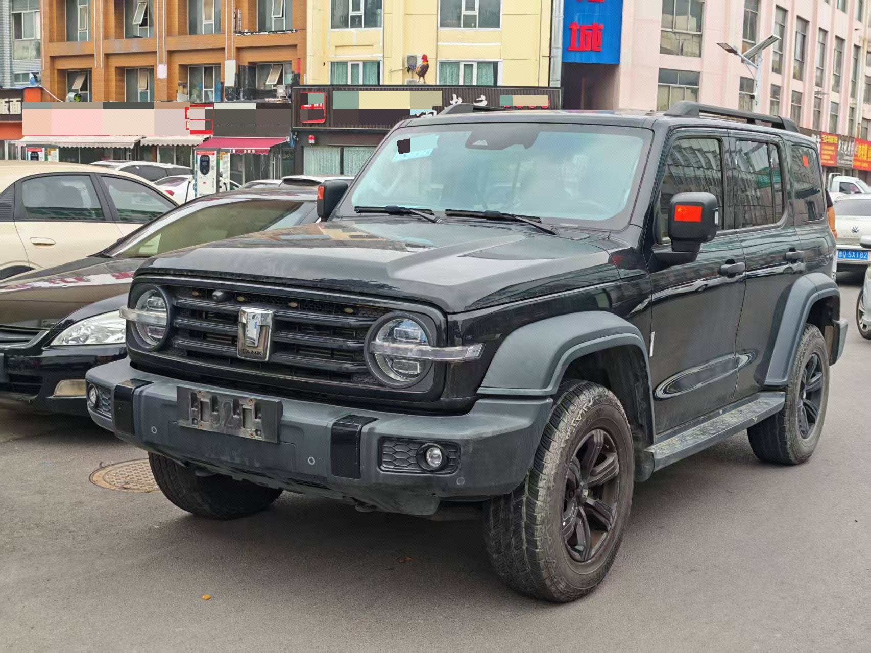 TANK 2021 Tank 300 2.0T Off-Road Edition Conqueror