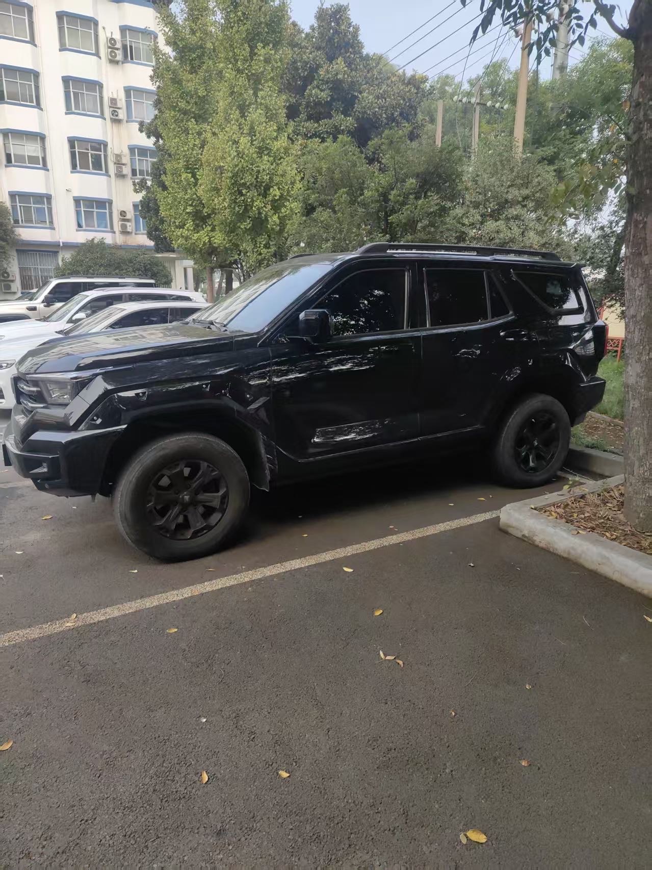 TANK 2024 Tank 400 Hi4-T 2.0T Off-Road Version photo 4