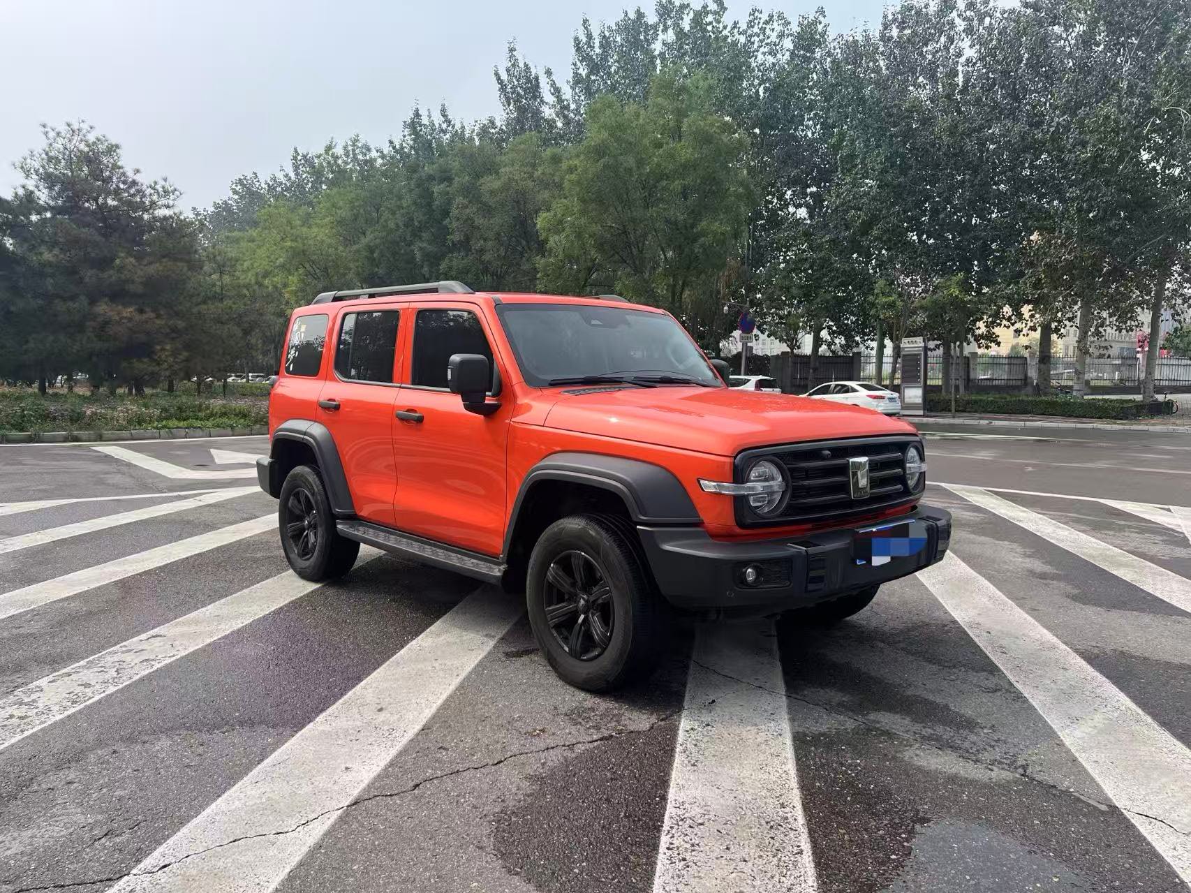 TANK Tank 300 2.0T Off-Road Edition Conqueror photo 3