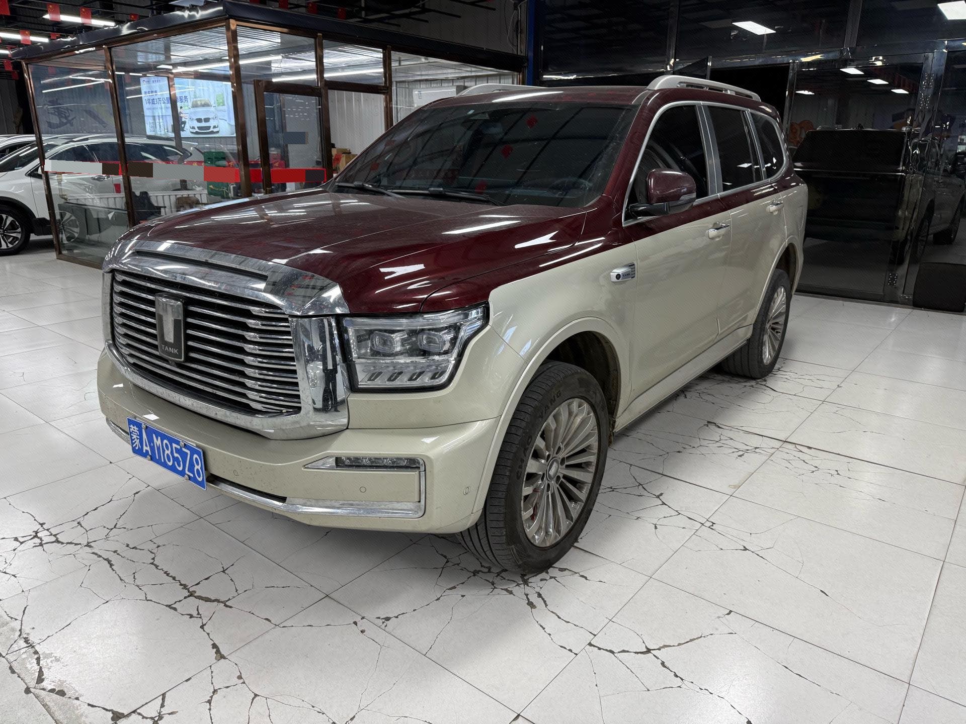 TANK 2022 Tank 500 48V 3.0T Custom Edition 5-seater