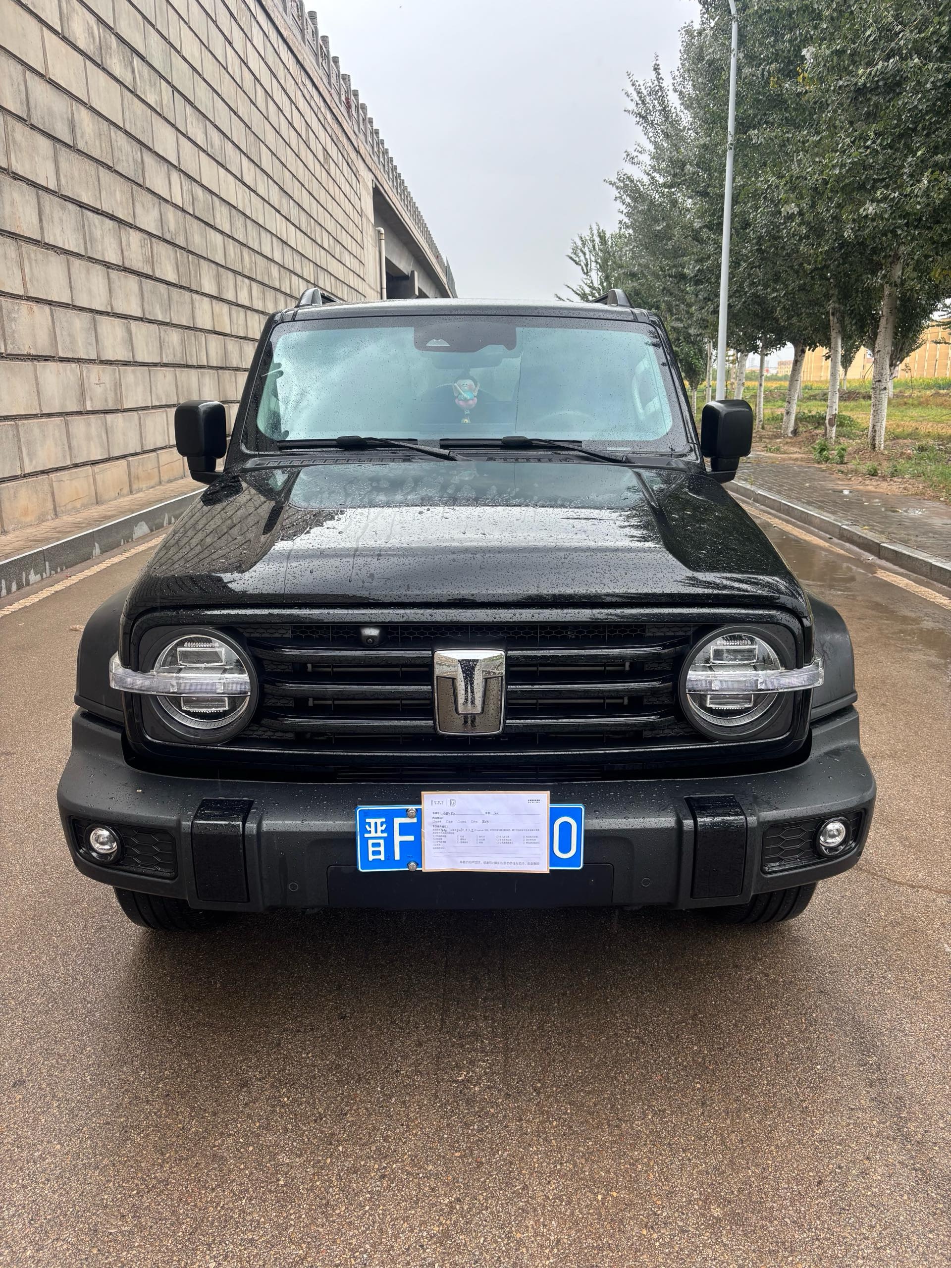Фото TANK Tank 300 2.0T Conqueror — 3