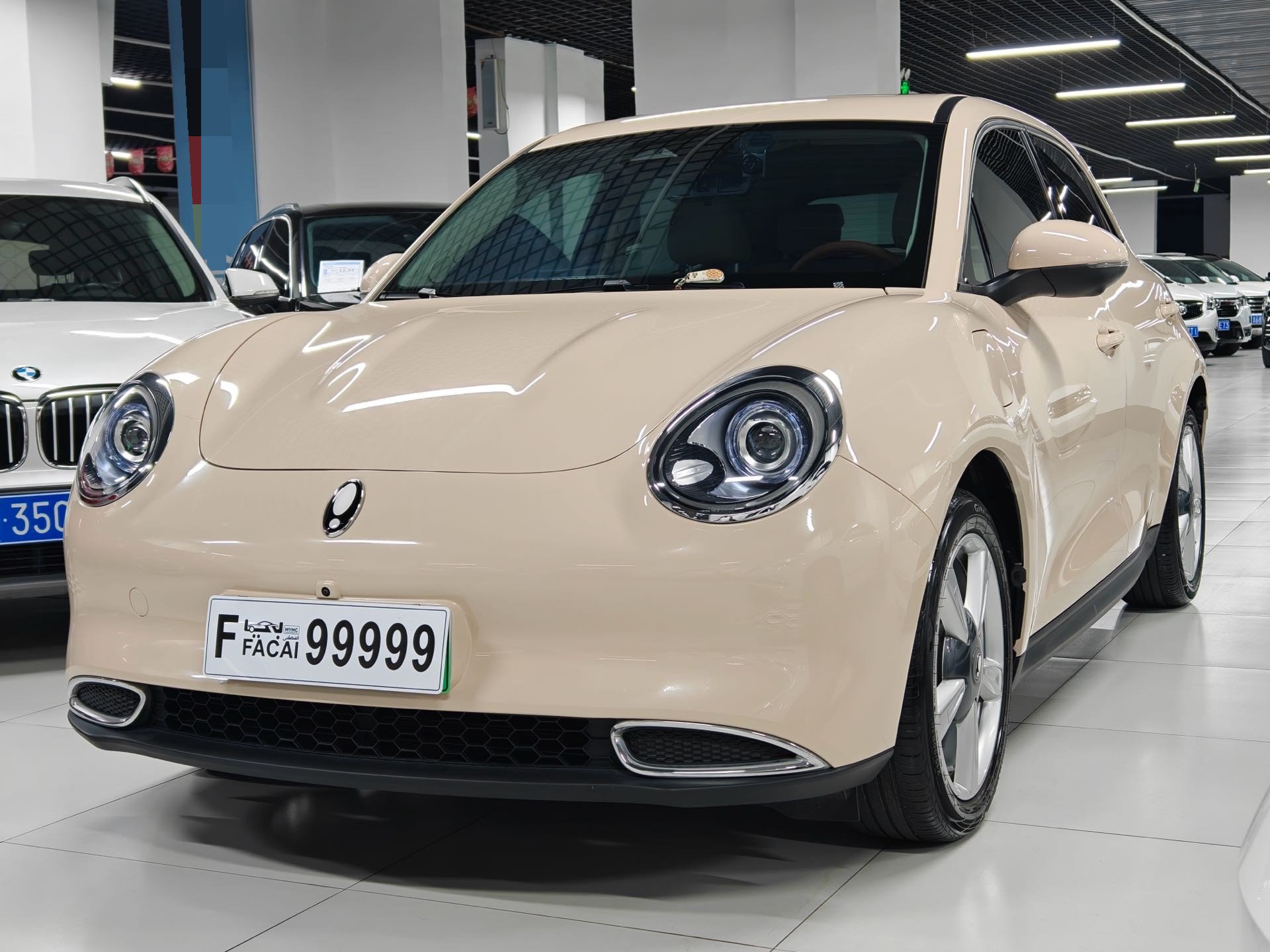 Фото ORA Good Cat 400 km Standard Range Venus Edition — 3