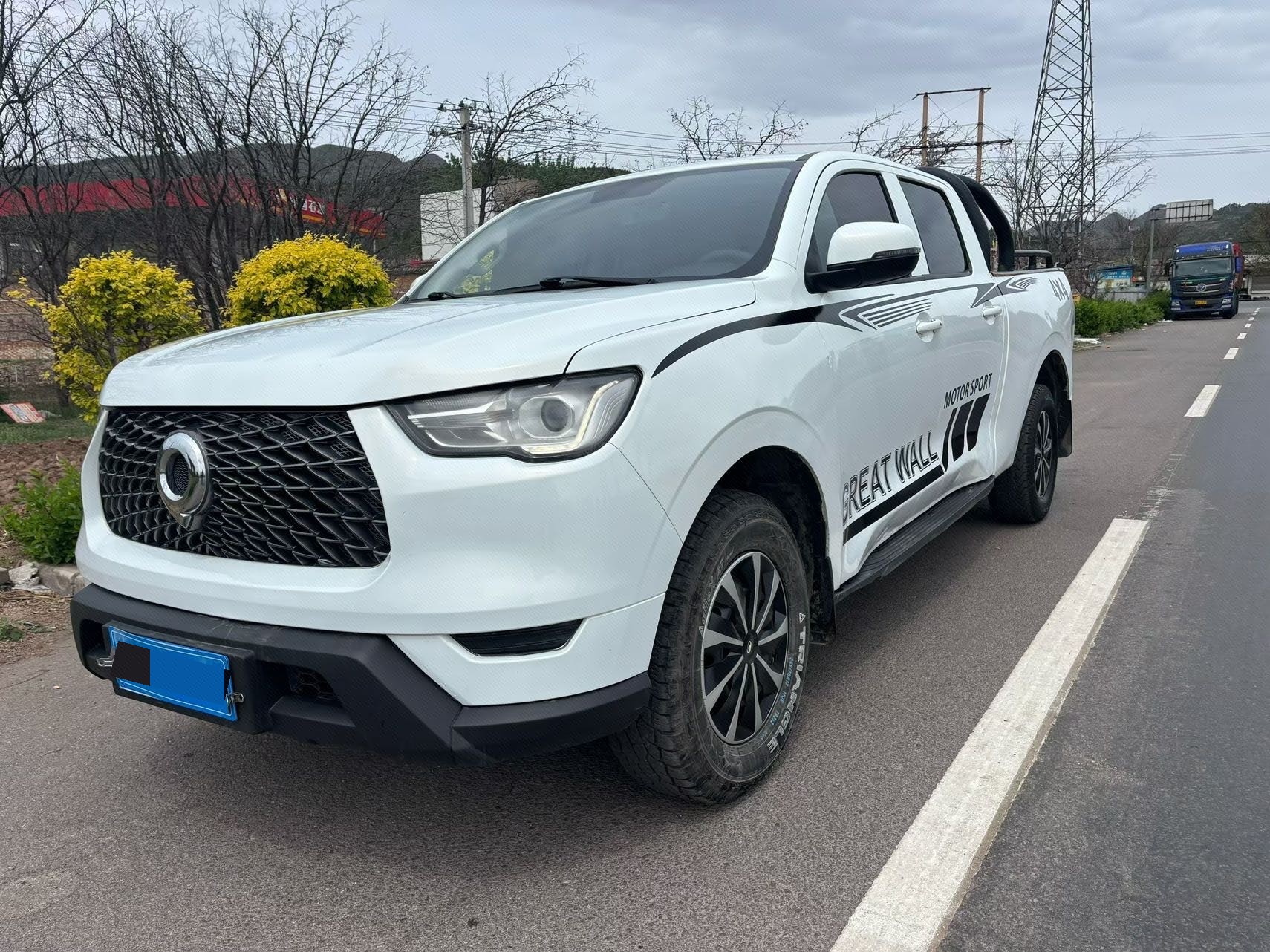 Great Wall POER 2021 Cannon 2.0T Commercial Diesel 2WD Elite Long-Box Version
