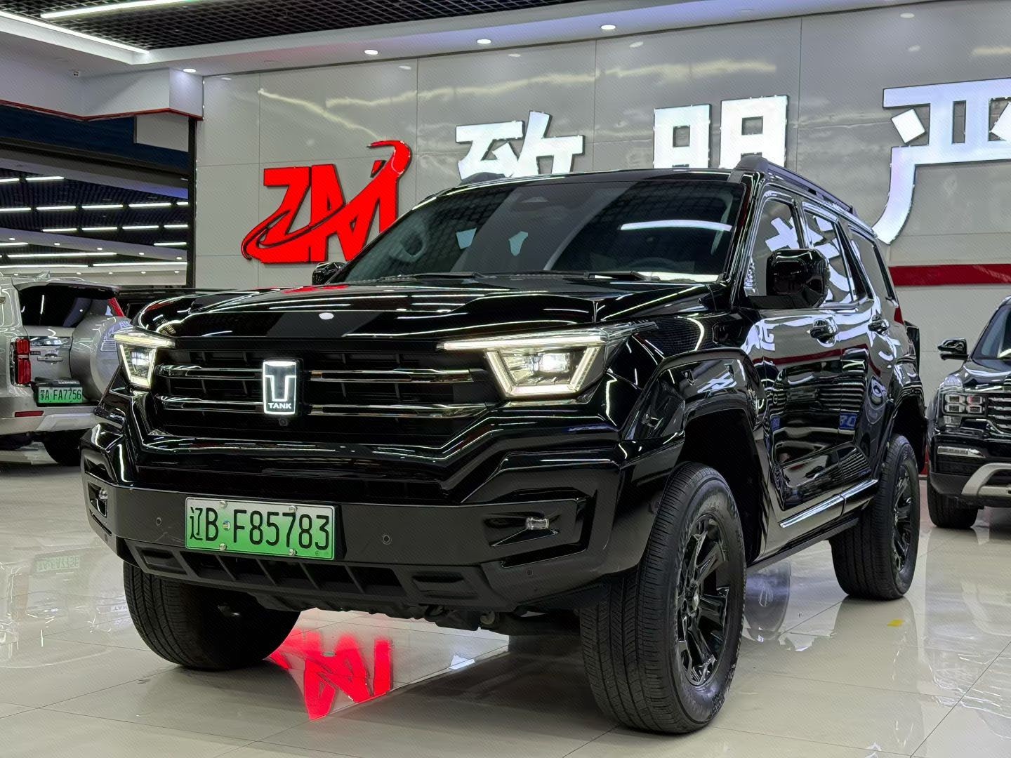 TANK 2024 Tank 400 Hi4-T 2.0T Off-Road Version