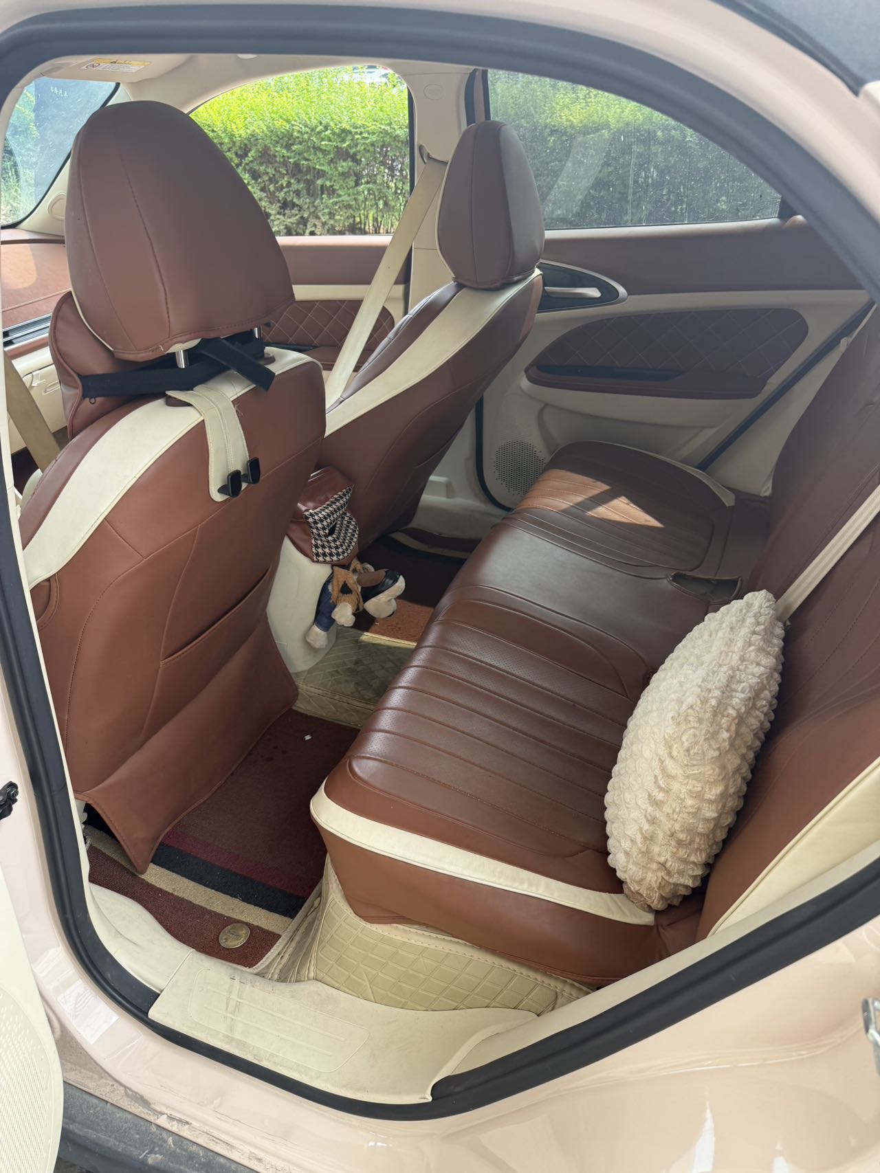 ORA Good Cat 401km Luxury Model fotoğraf 4