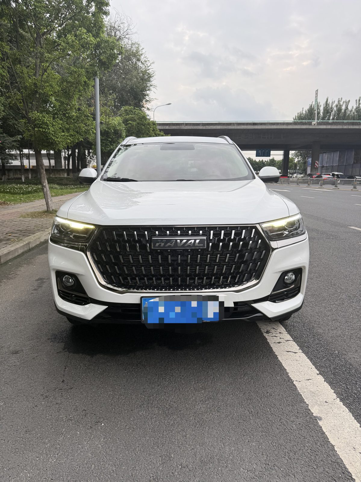 Haval H6 1.5GDIT Champion Edition foto 2