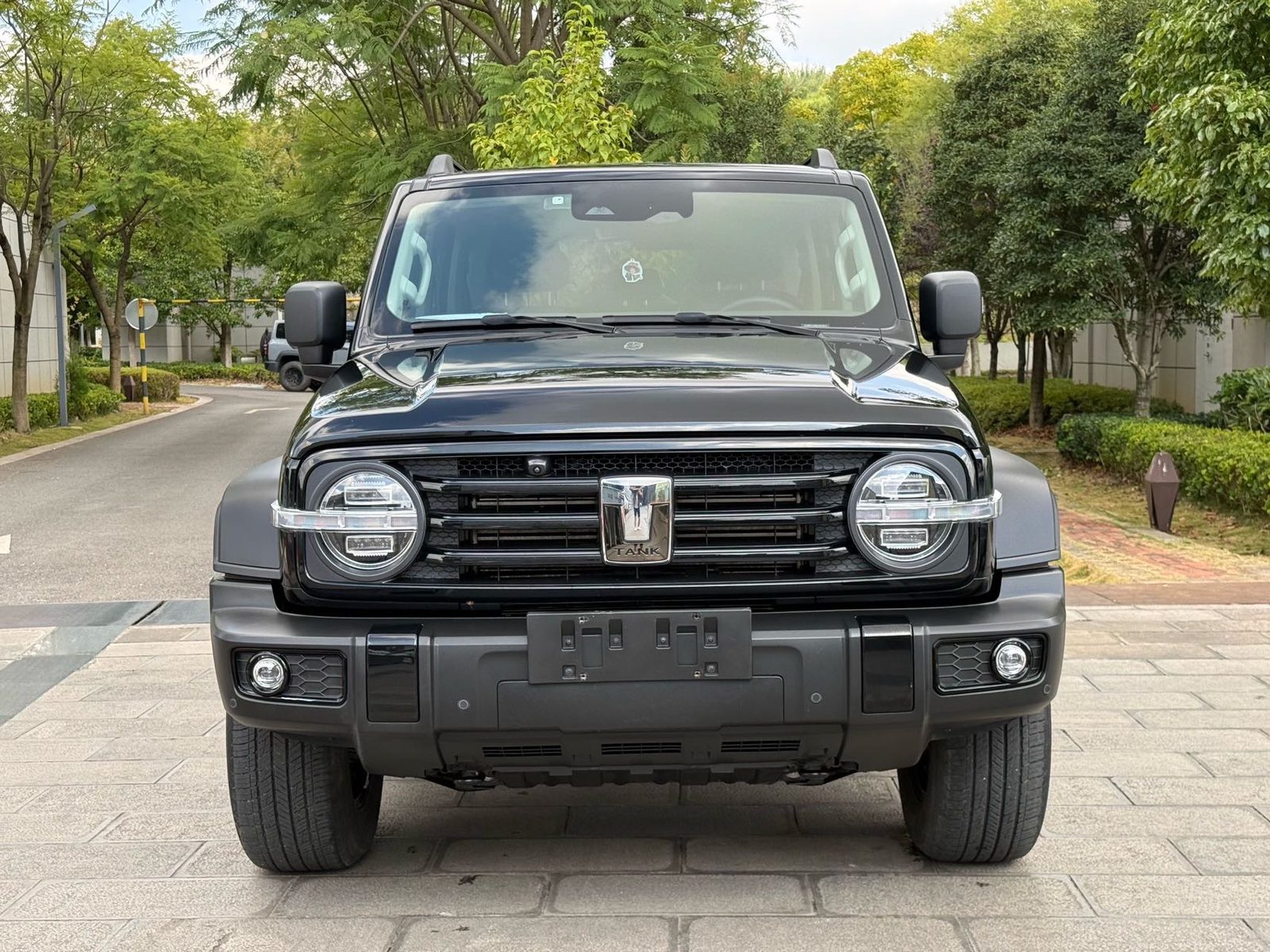 صورة TANK Tank 300 2.0T Off-Road Edition: The Conqueror رقم 2