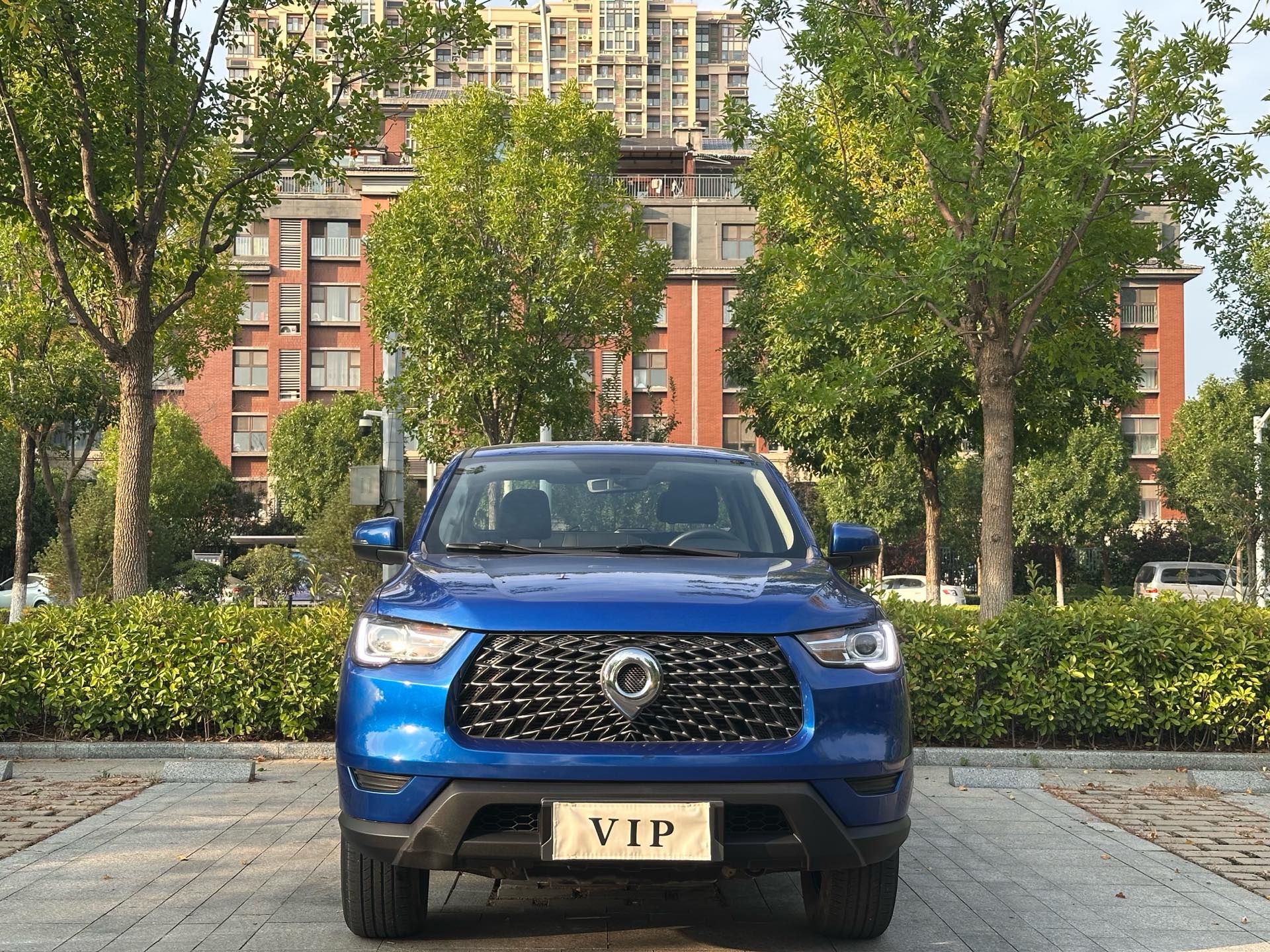 Great Wall POER 2021 Cannon 2.0T Commercial Diesel 2WD Elite Long-Box Version photo 2