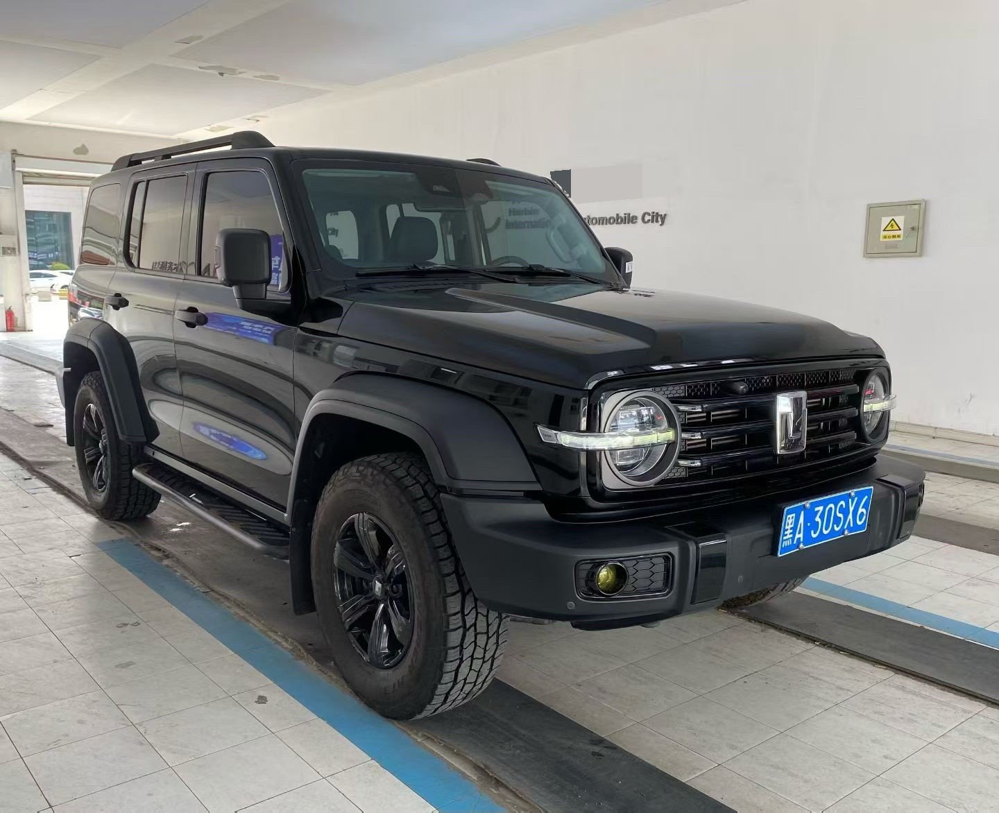 TANK Tank 300 2.0T Off-Road Edition Conqueror photo 3