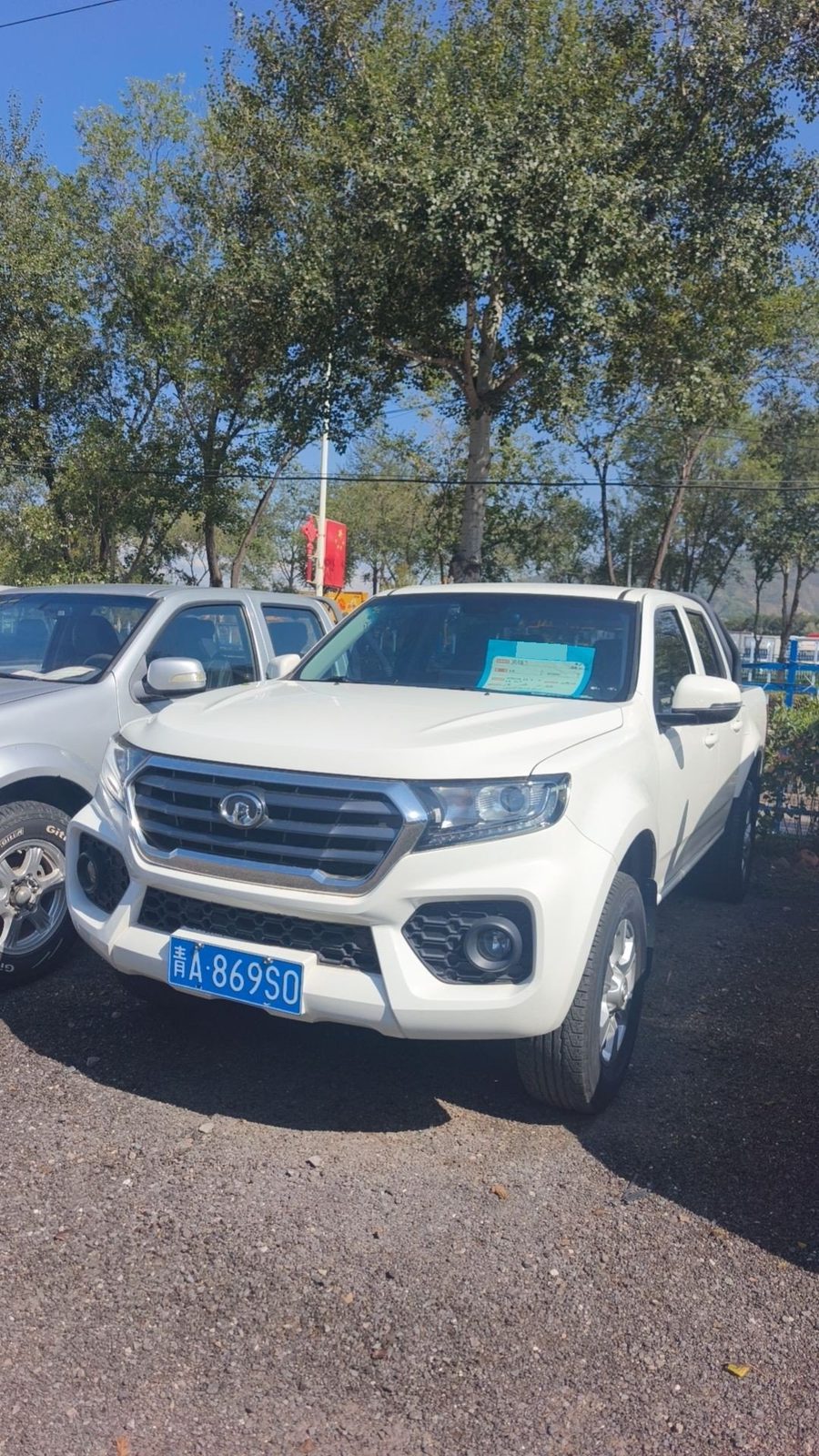 Great Wall Wingle 7 2019 Fengjun 7 2.0T 2WD Champion Edition Short Bed