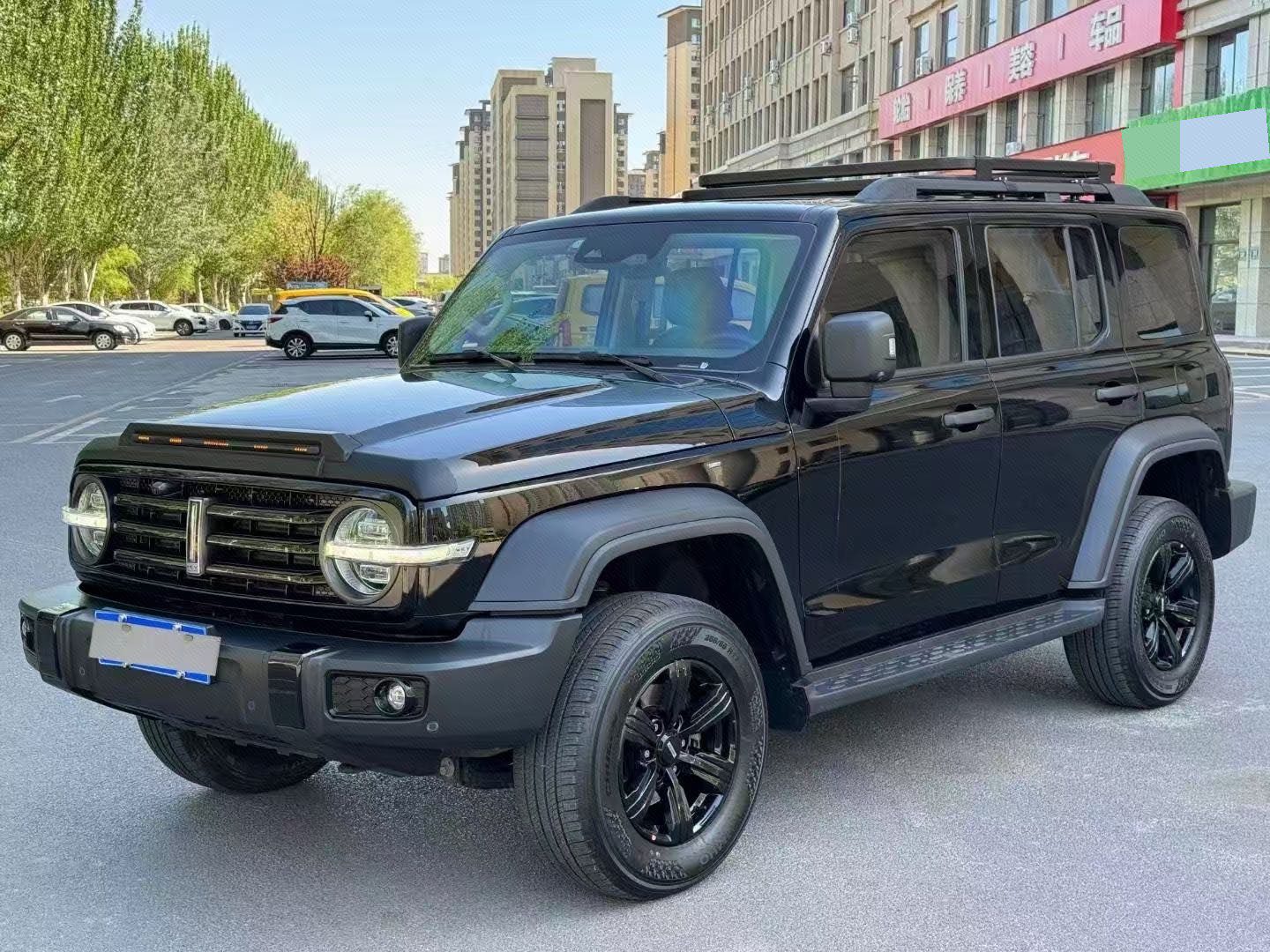 TANK Tank 300 2.0T Off-Road Edition Conqueror