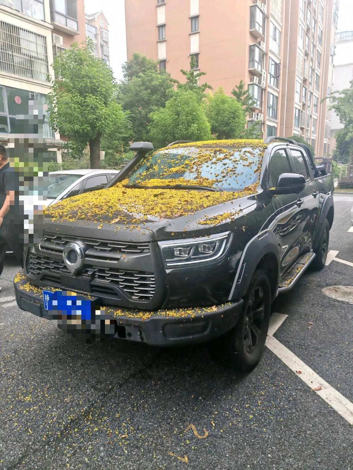Great Wall POER 2020 Cannon 2.0T Off-Road Edition Gasoline 4x4 Limited Edition