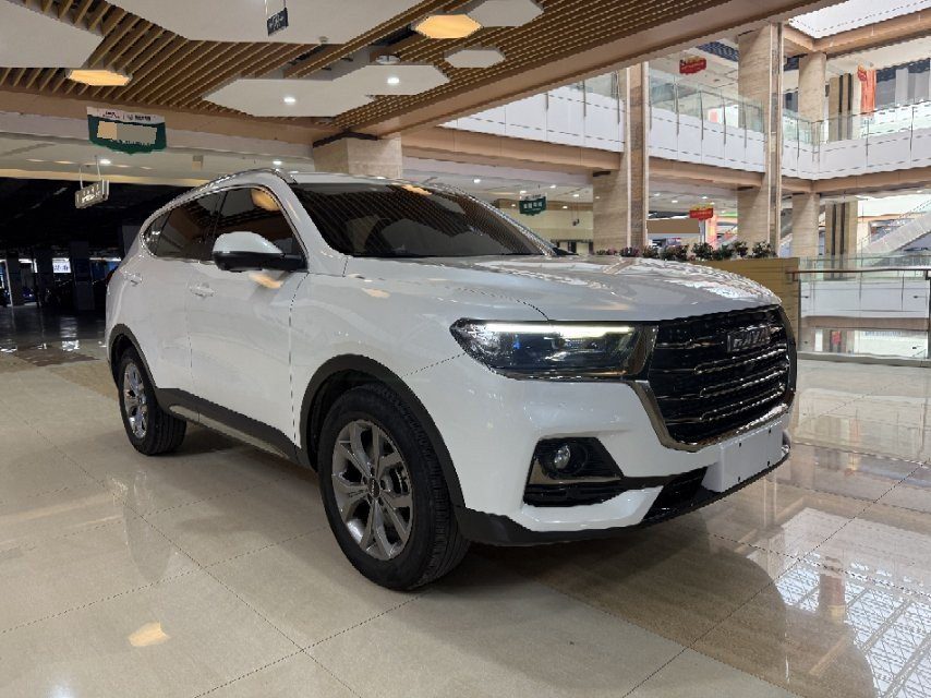 Haval H6 1.5T National Trend Edition Champion Edition photo 2