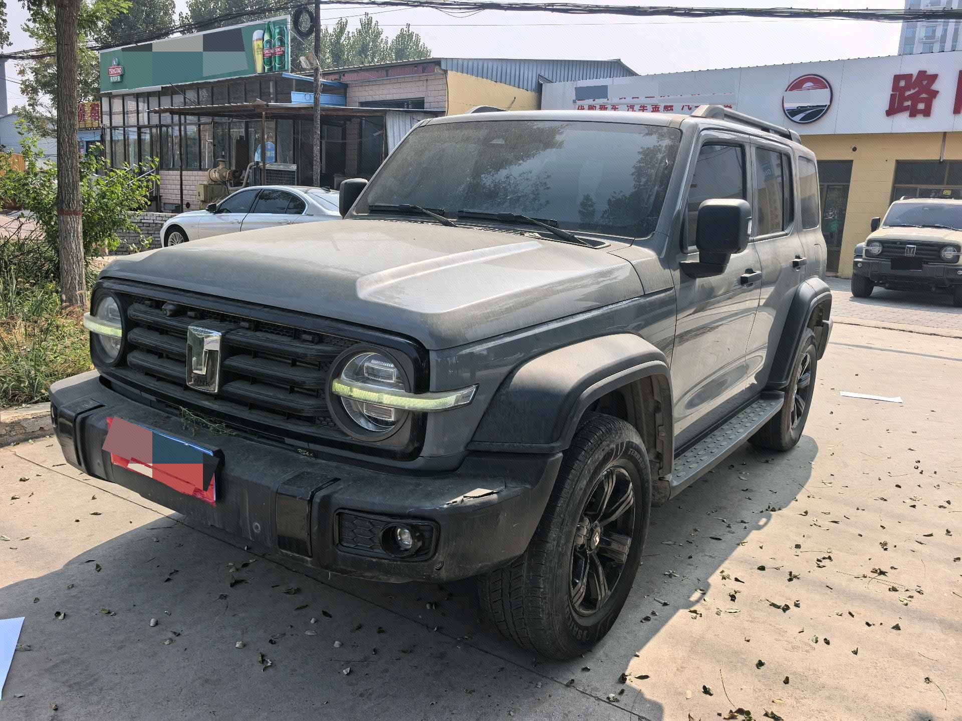 TANK 2021 Tank 300 2.0T Off-Road Edition Conqueror