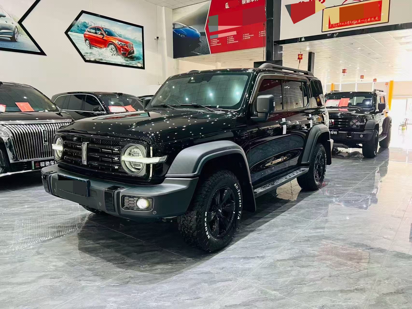 TANK 2021 Tank 300 2.0T Off-Road Edition Conqueror