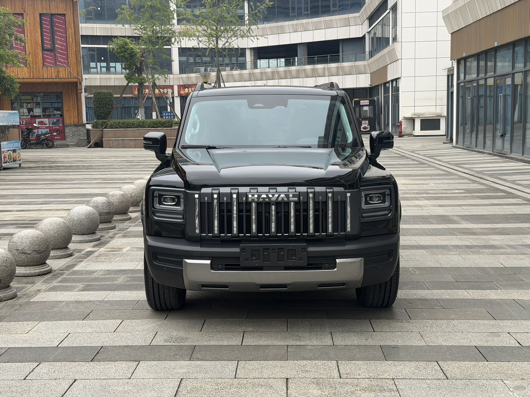 Haval Raptor Menglong 2.0T 4WD Pro photo 3